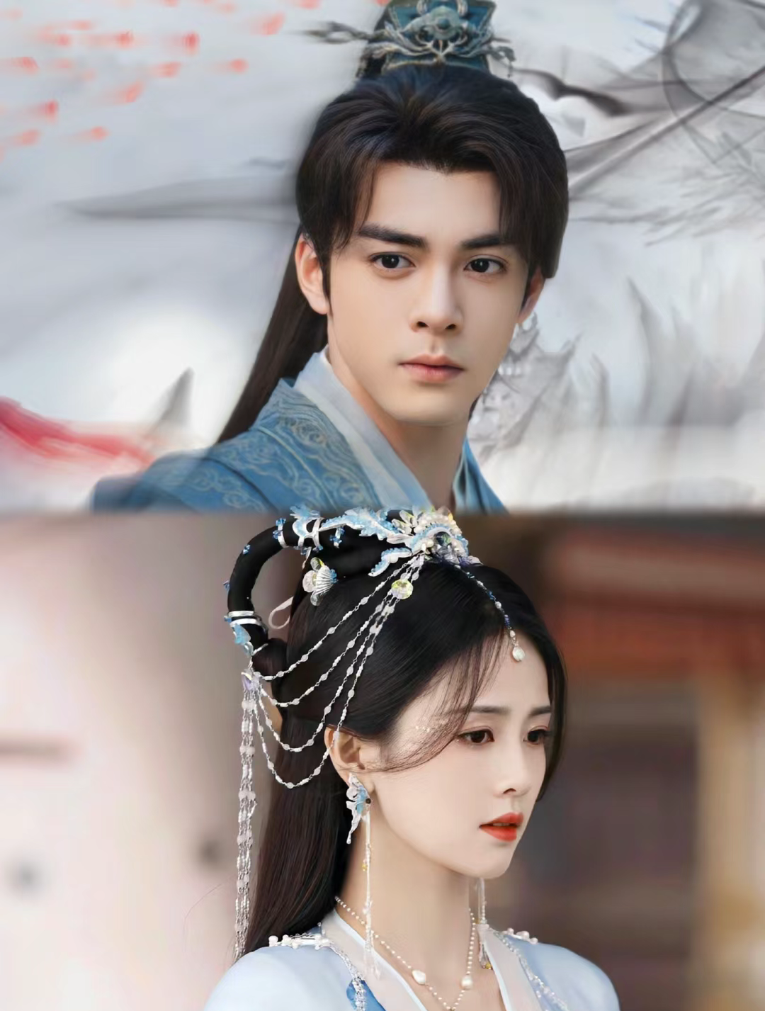 男主是镇南王世子女主会医术