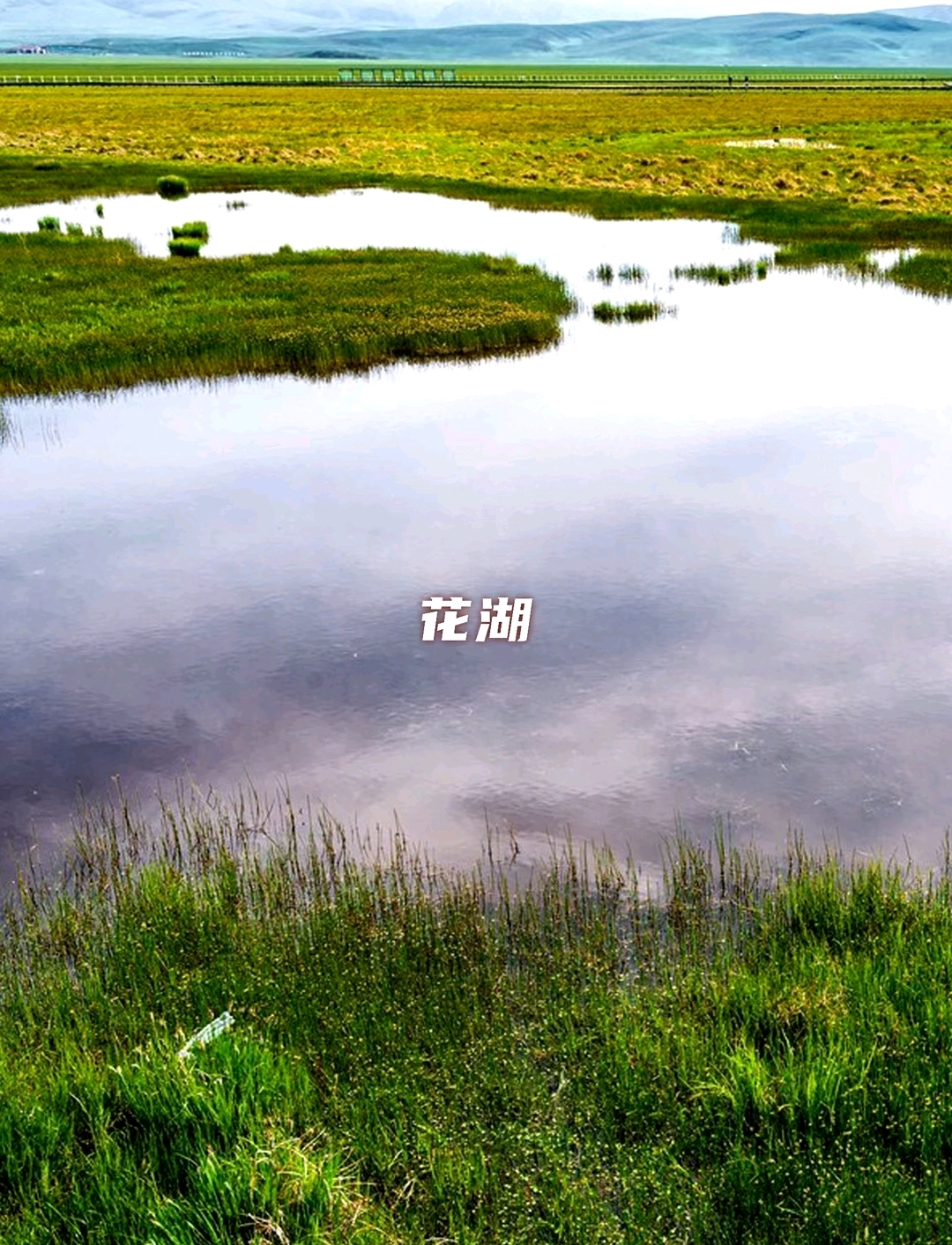 甘南旅游必去景点,甘南大草原!