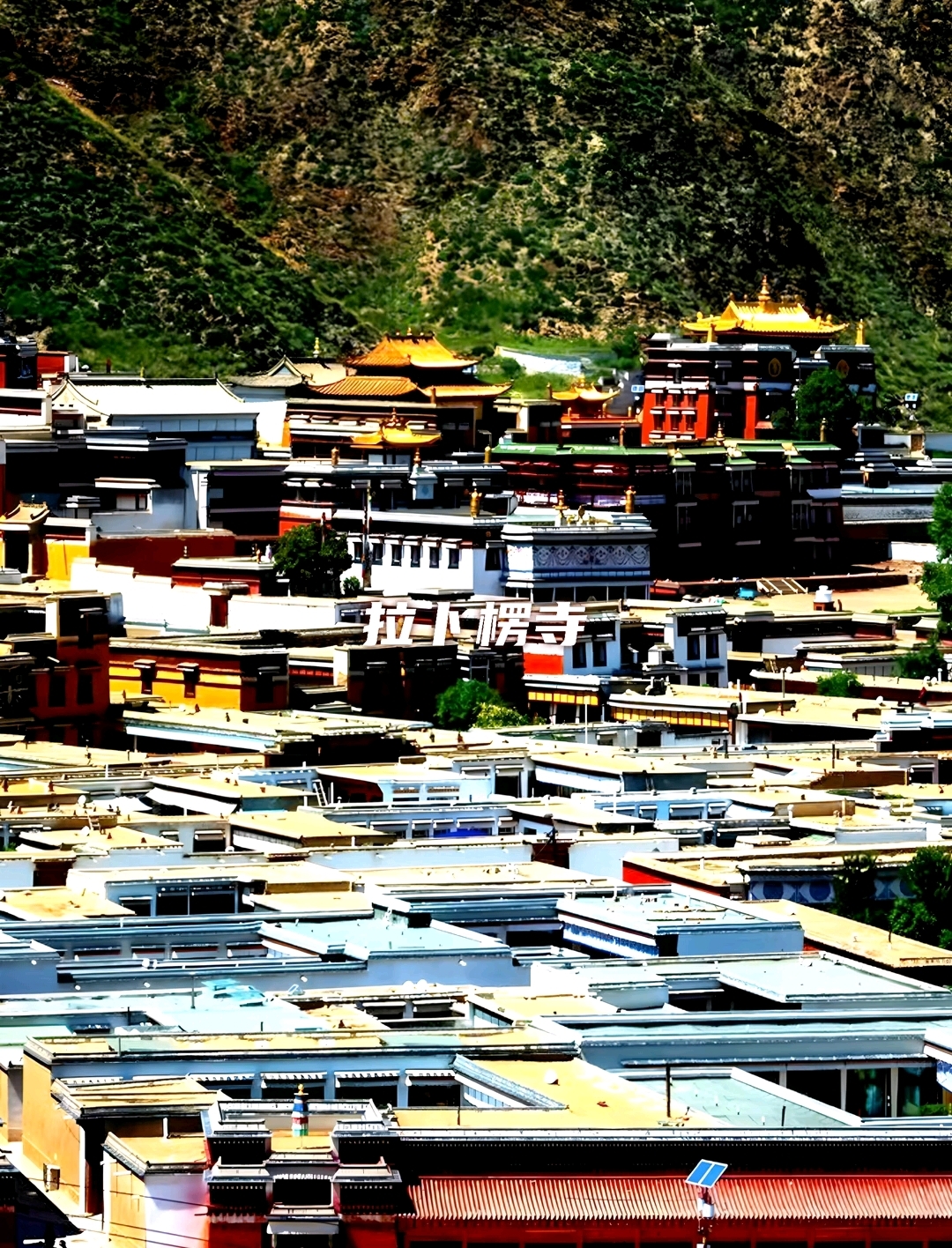 甘南旅游必去景点,甘南大草原!