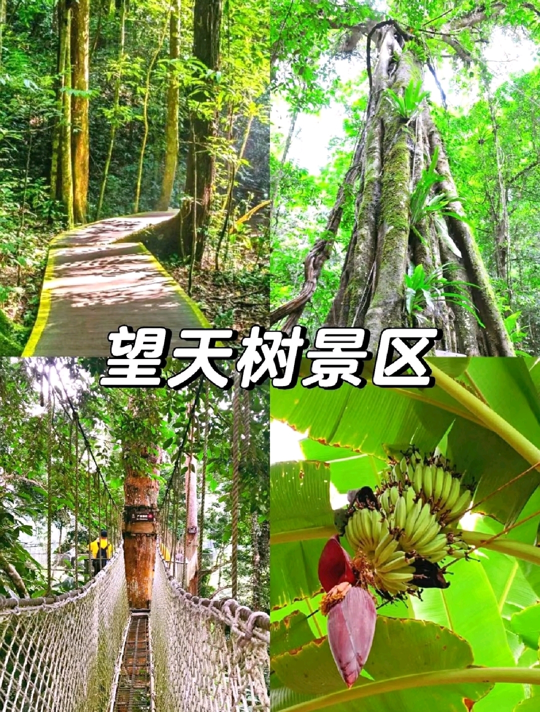 西双版纳旅游