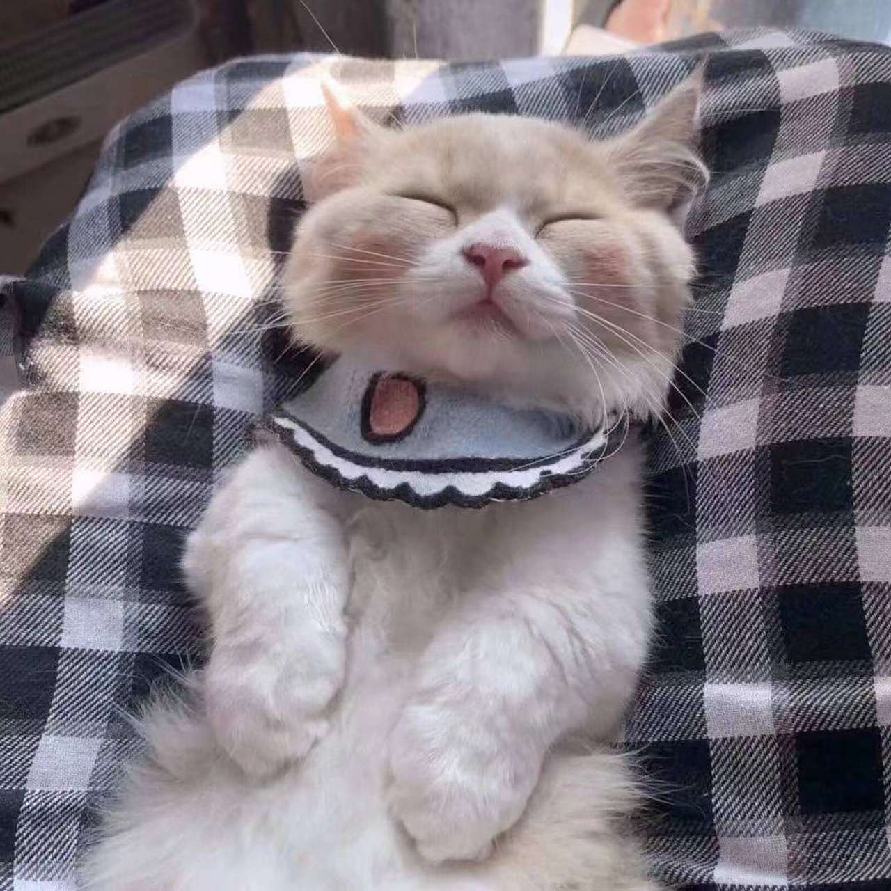 急求跟这个头像相似的图片,拜托拜托[祈福][祈福][祈福]