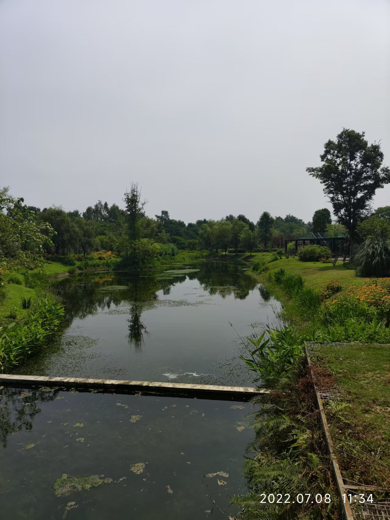 郫县香草湖湿地公园图片