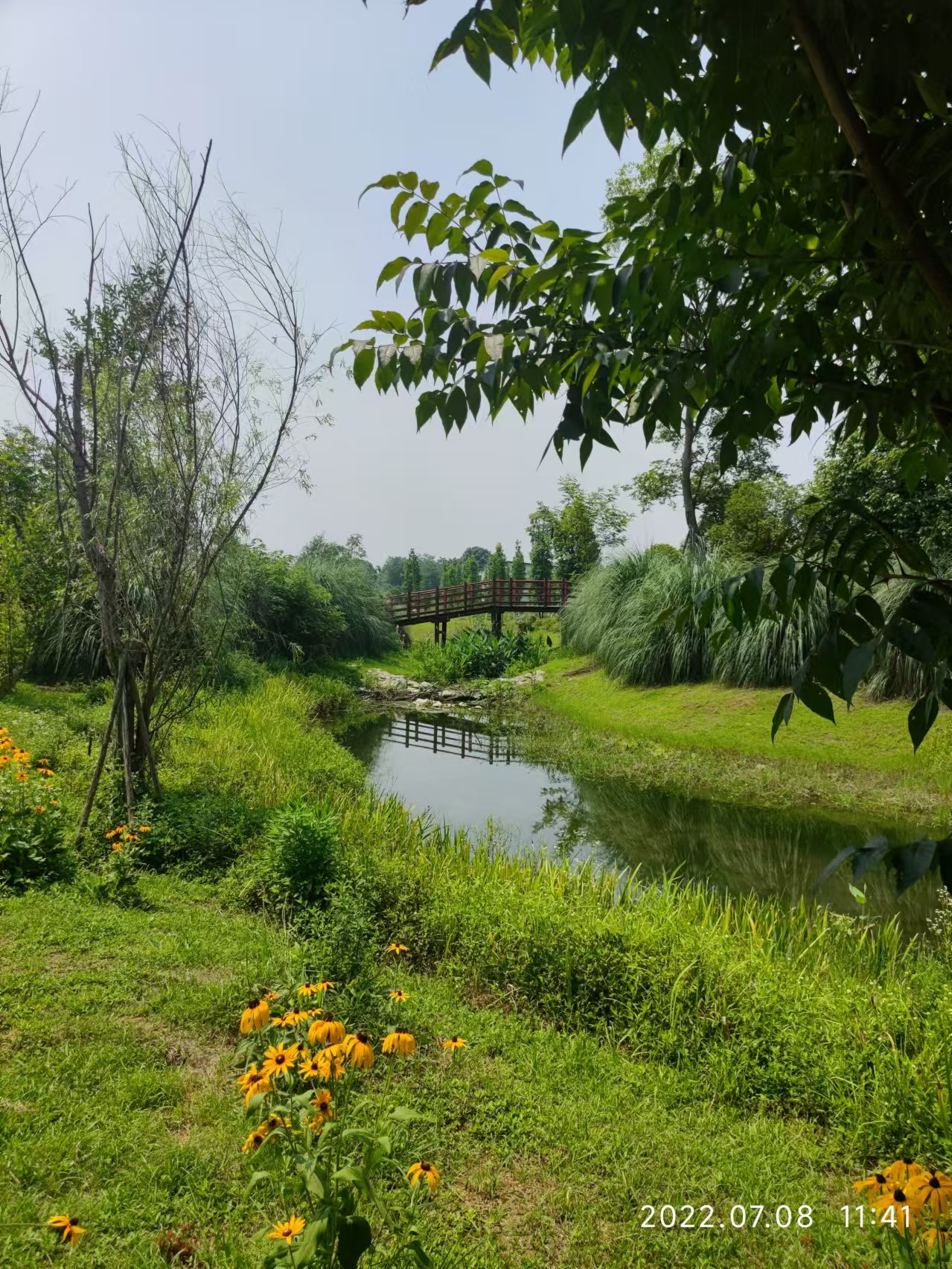 郫县香草湖湿地公园图片