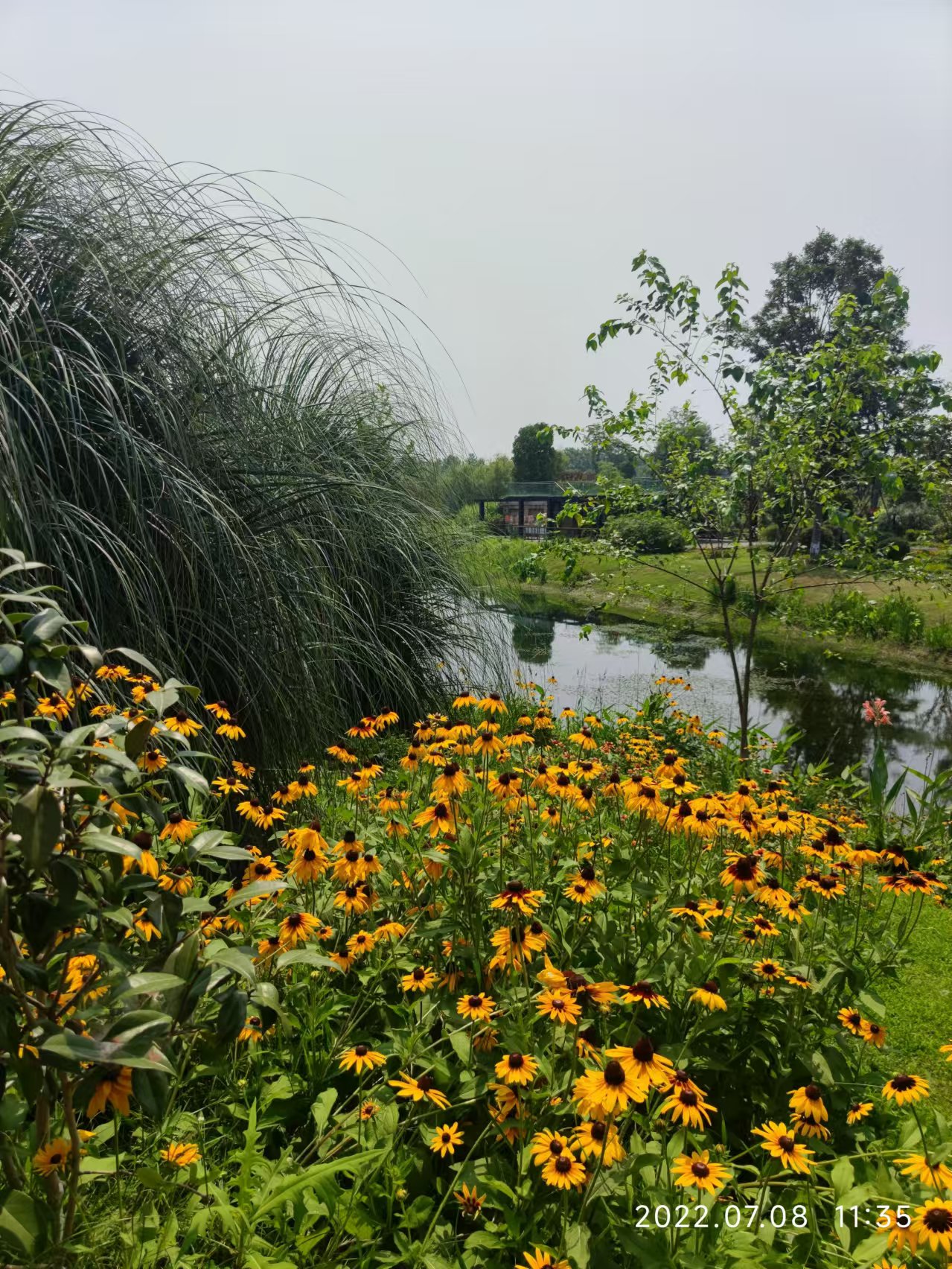 郫县香草湖湿地公园图片