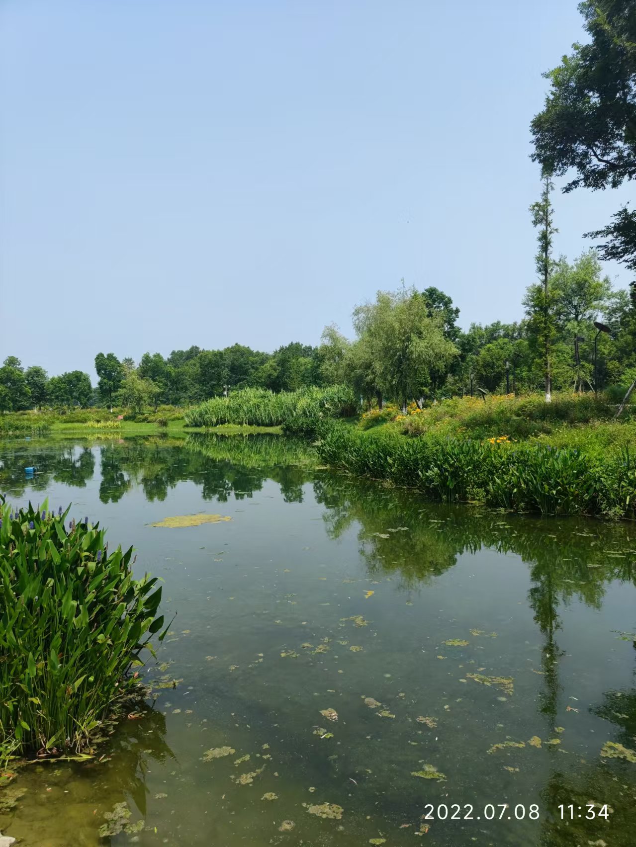 郫县香草湖湿地公园图片