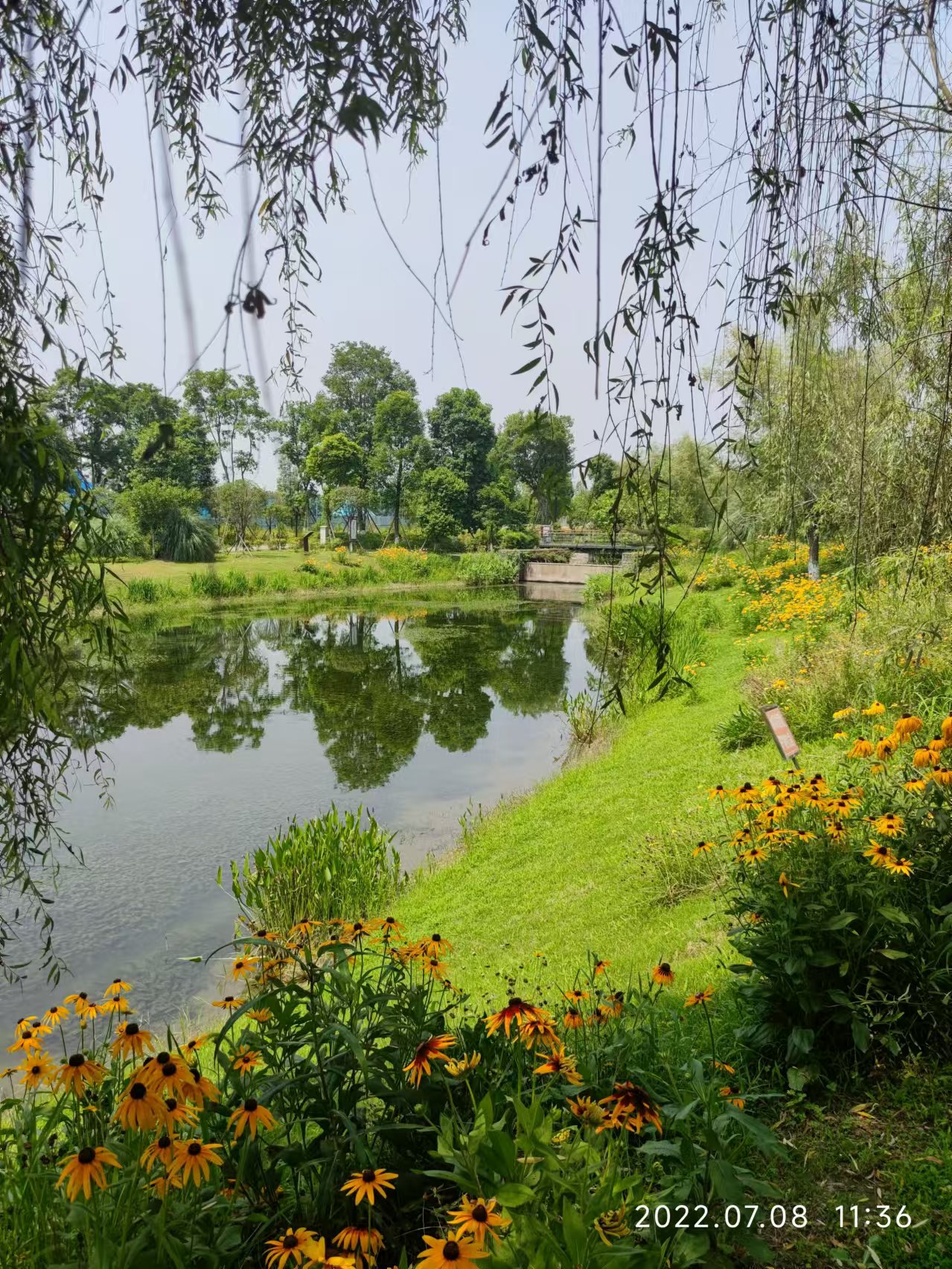 郫县香草湖湿地公园图片