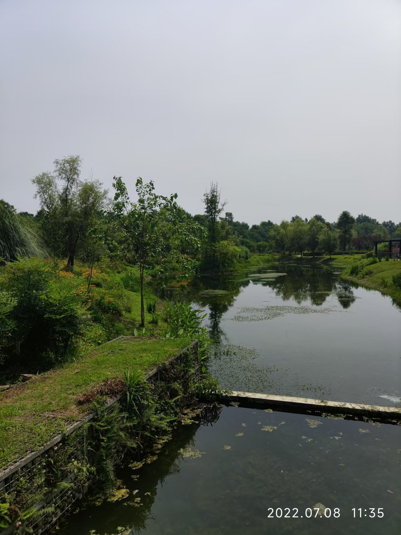 郫县香草湖湿地公园图片