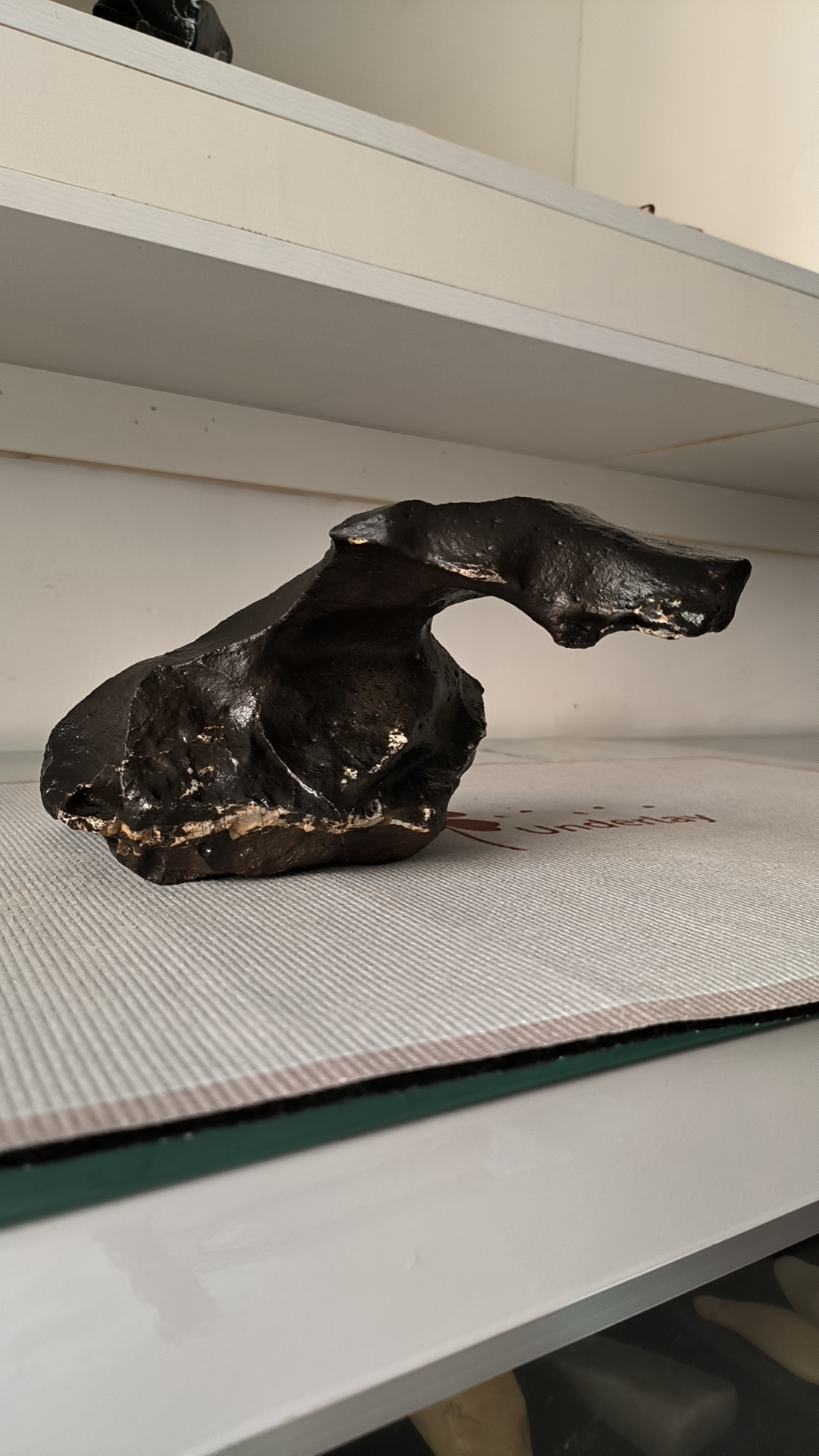 新疆戈壁籽料风凌石原石咱家的"如意"摆件