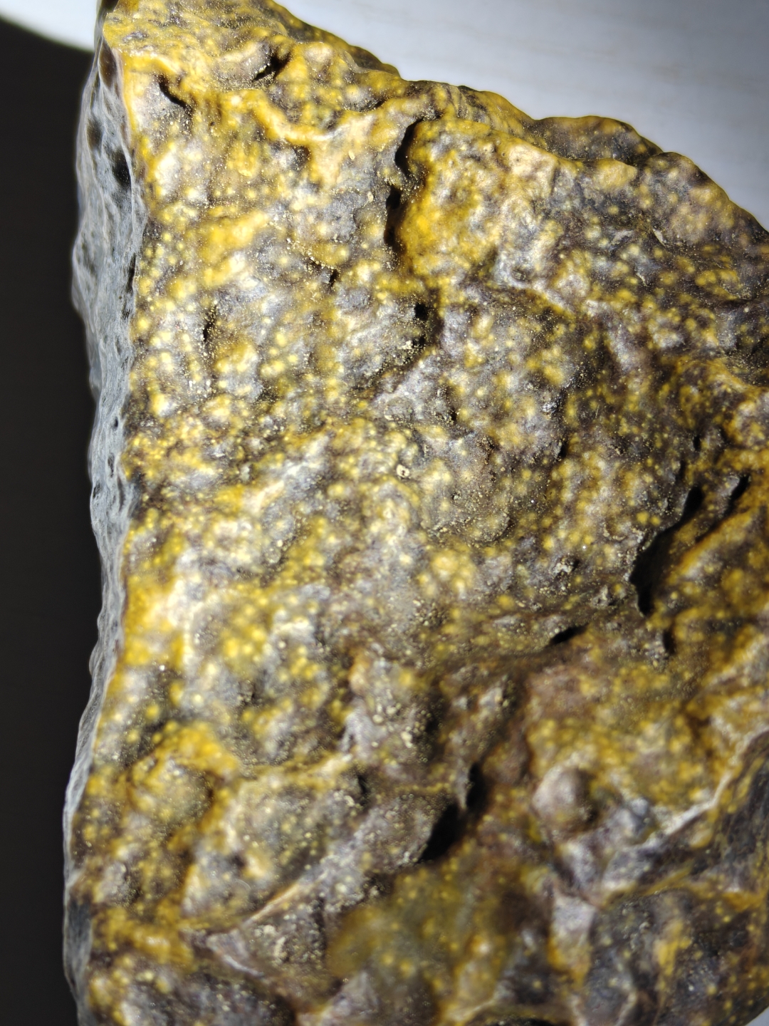 与古生物对话"鱼籽化石"新疆戈壁籽料鱼籽化石原石