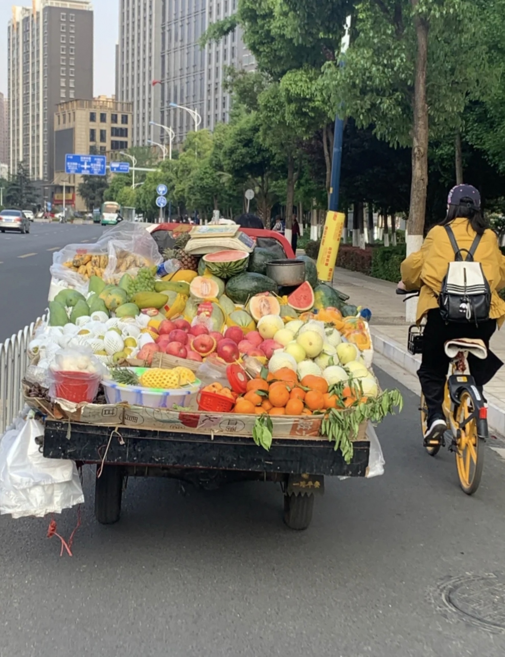 街头的水果车满载着新鲜与希望,花店的后备箱盛开着浪漫,小餐馆里飘出