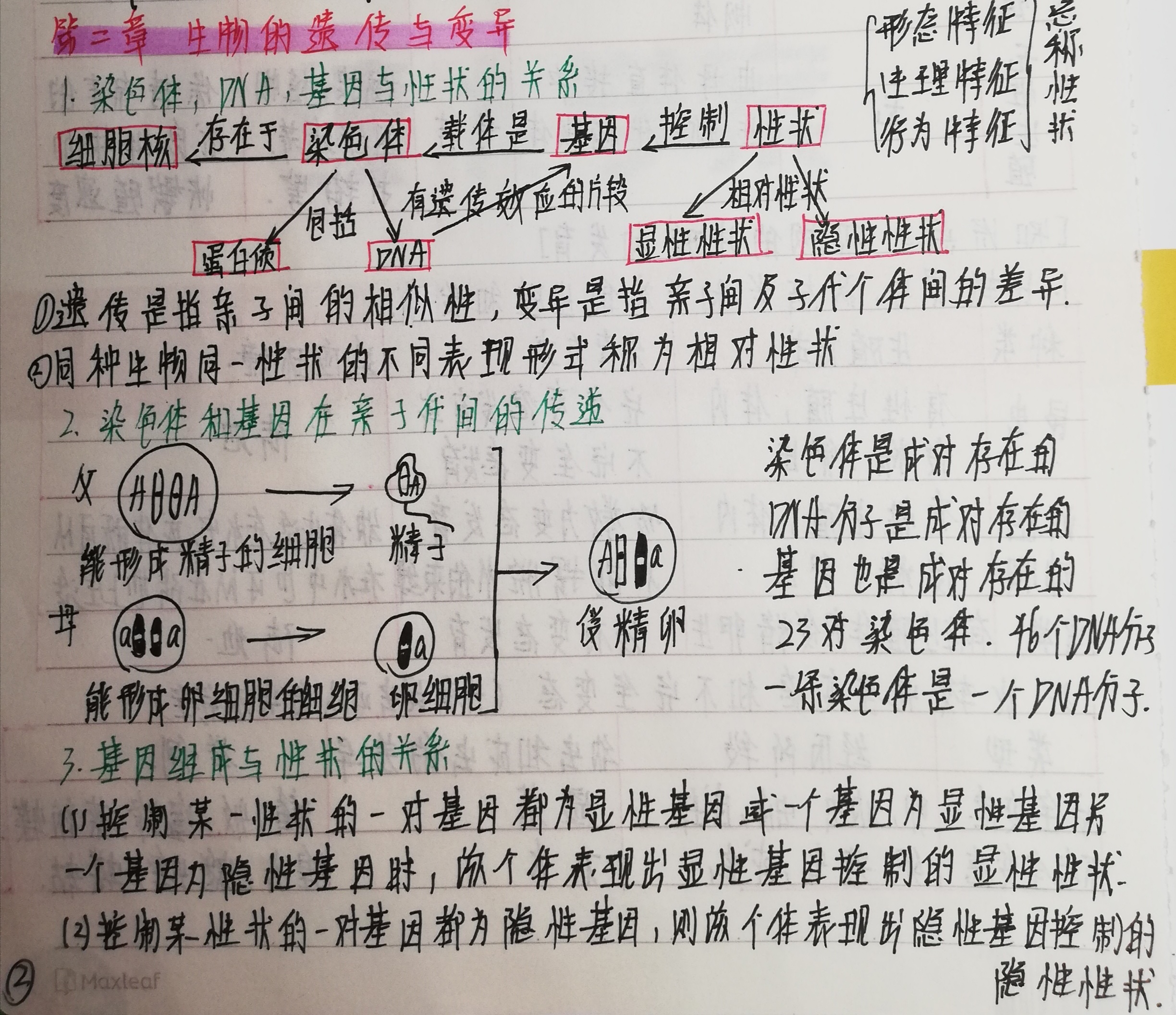 初二下生物遗传和变异专项(八年级下册生物的遗传与变异知识点总结) 初二下生物遗传和变异专项(八年级下册生物的遗传与变异知识点总结)