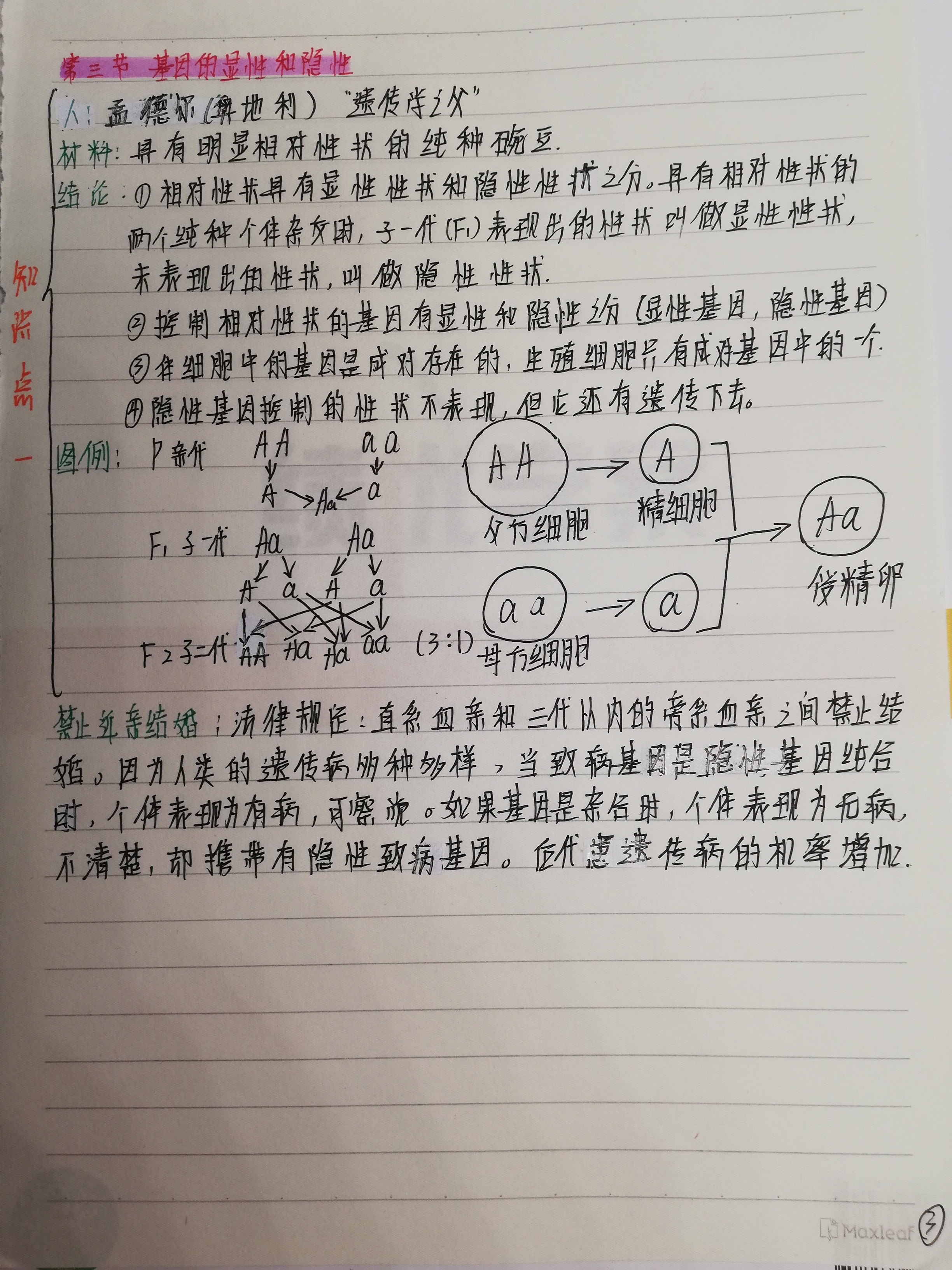 
八下生物笔记视频  第2张