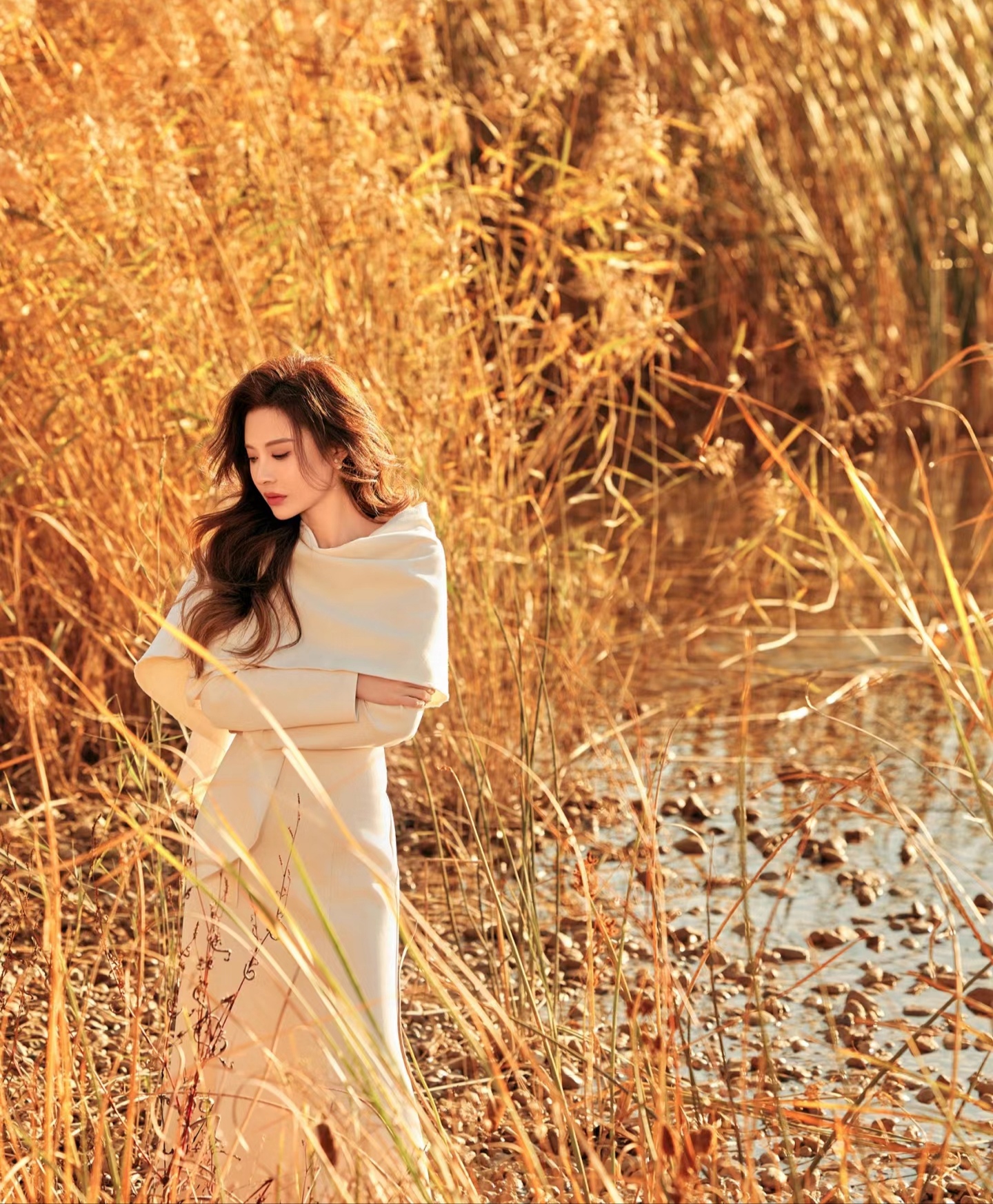 秋日私语  在一片金黄色的芦苇荡中,阳光透过稀疏的枝叶洒下斑驳