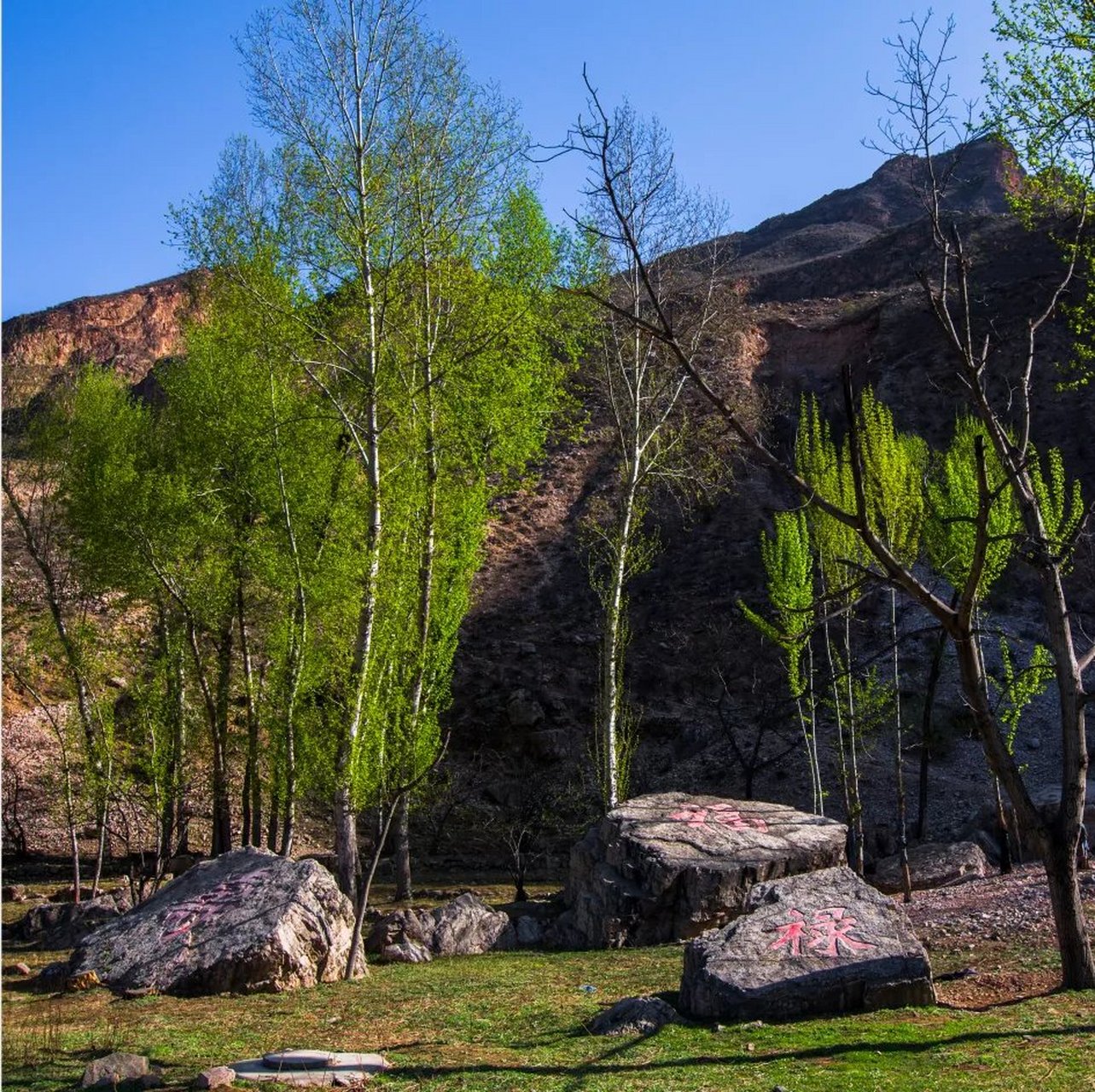 摄影作品# 大同灵丘县花塔村,广灵县涧西古村,青山绿水,古堡古村