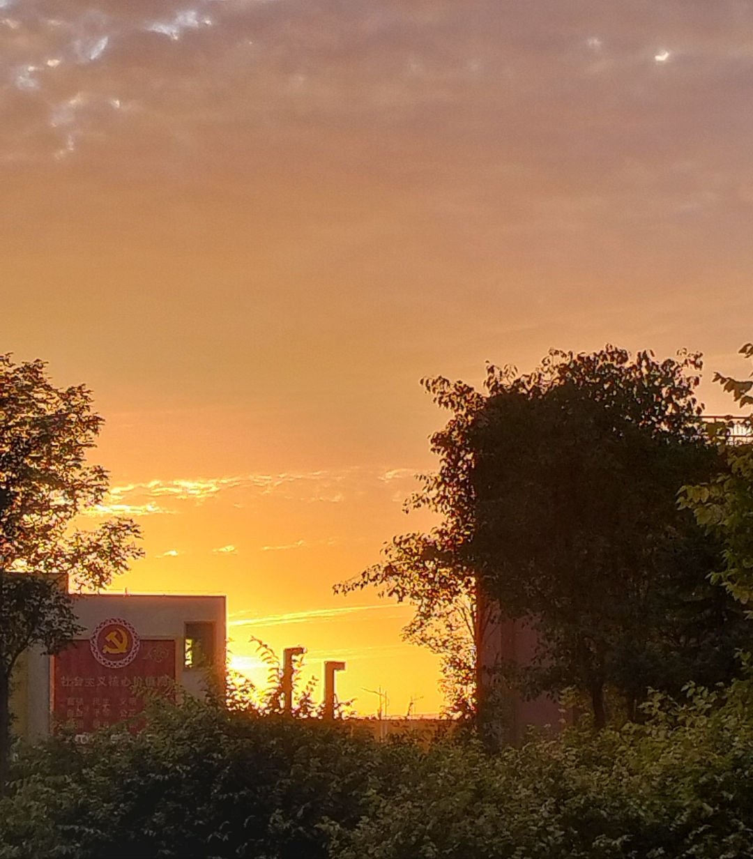 是社会主义核心价值观#秋天生活图鉴