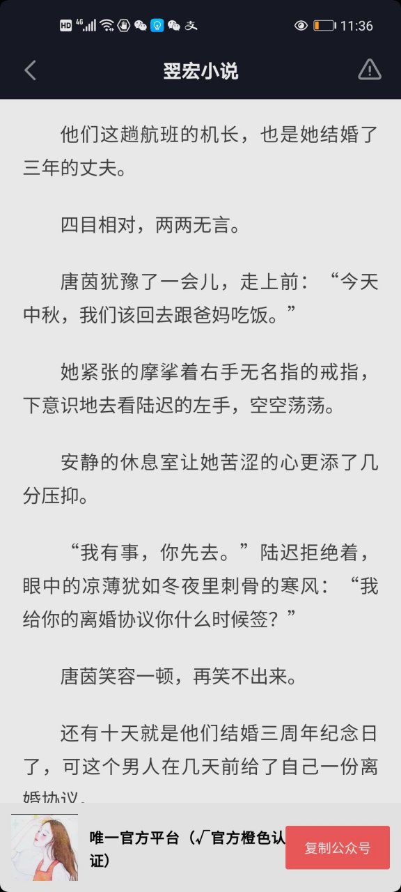 机长与乘务长 唐茵陆迟机长 短篇抖音 唐茵陆迟许彤 机长陆迟乘务长