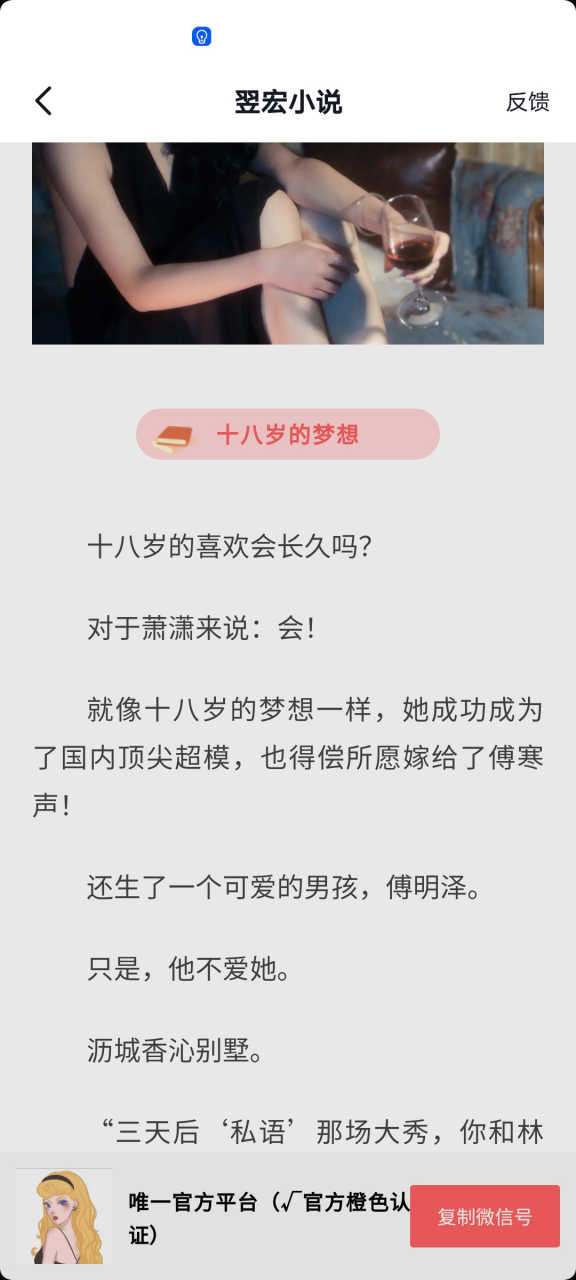 《萧潇傅寒声》又名《十八岁的梦想》抖音小说全文阅读