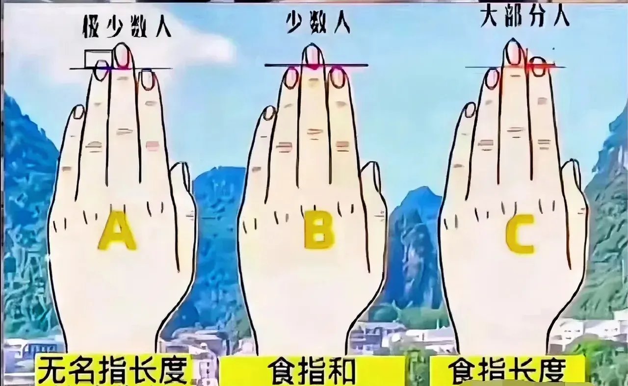 你手指的长短,竟然能暴露出你的命运?