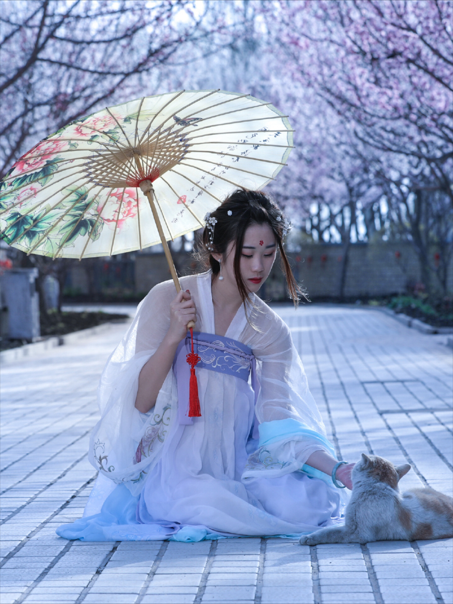 樱花树下的女孩古风图片