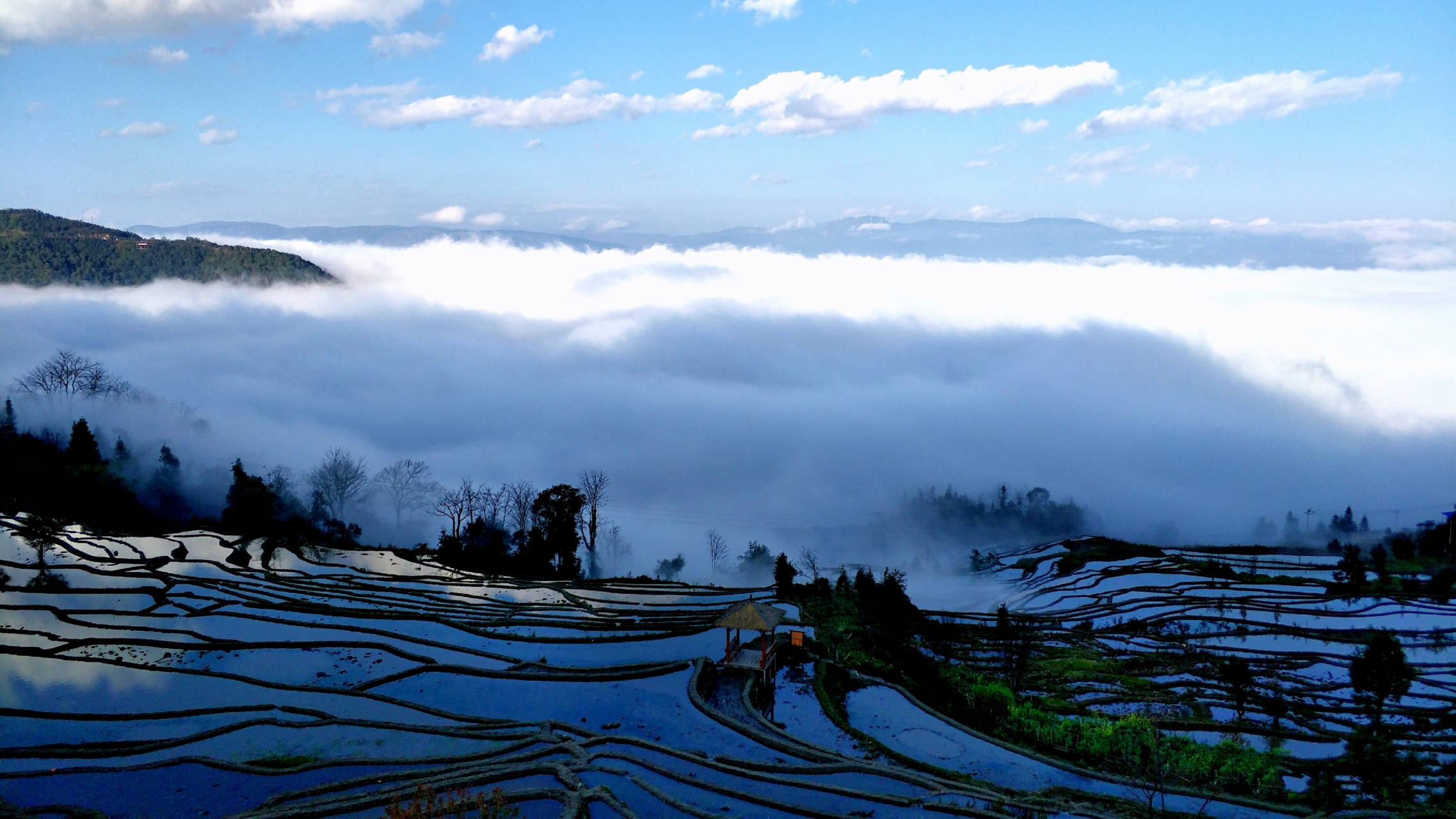 红河撒玛坝梯田的美景图片