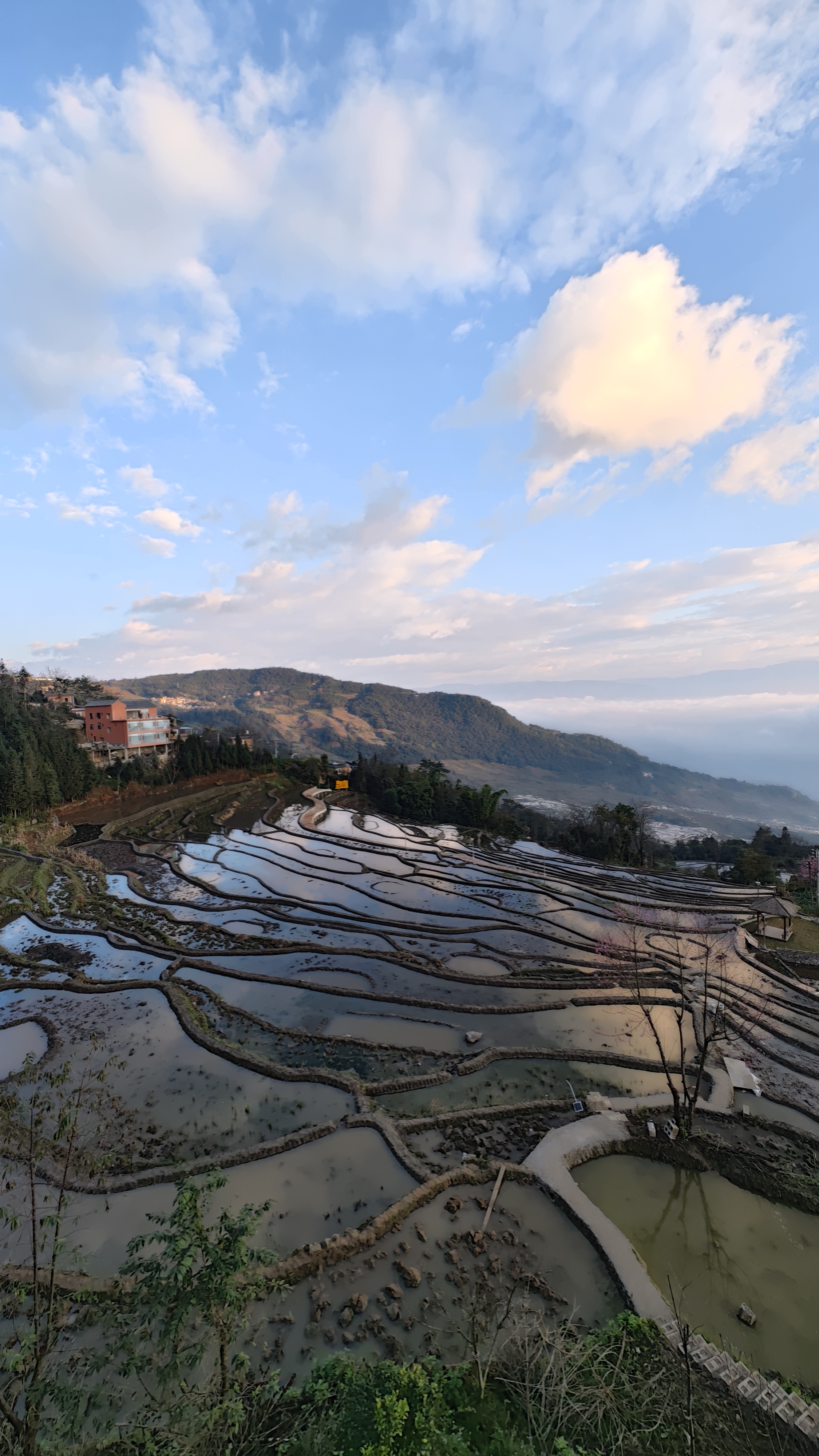 云南红河县撒玛坝梯田