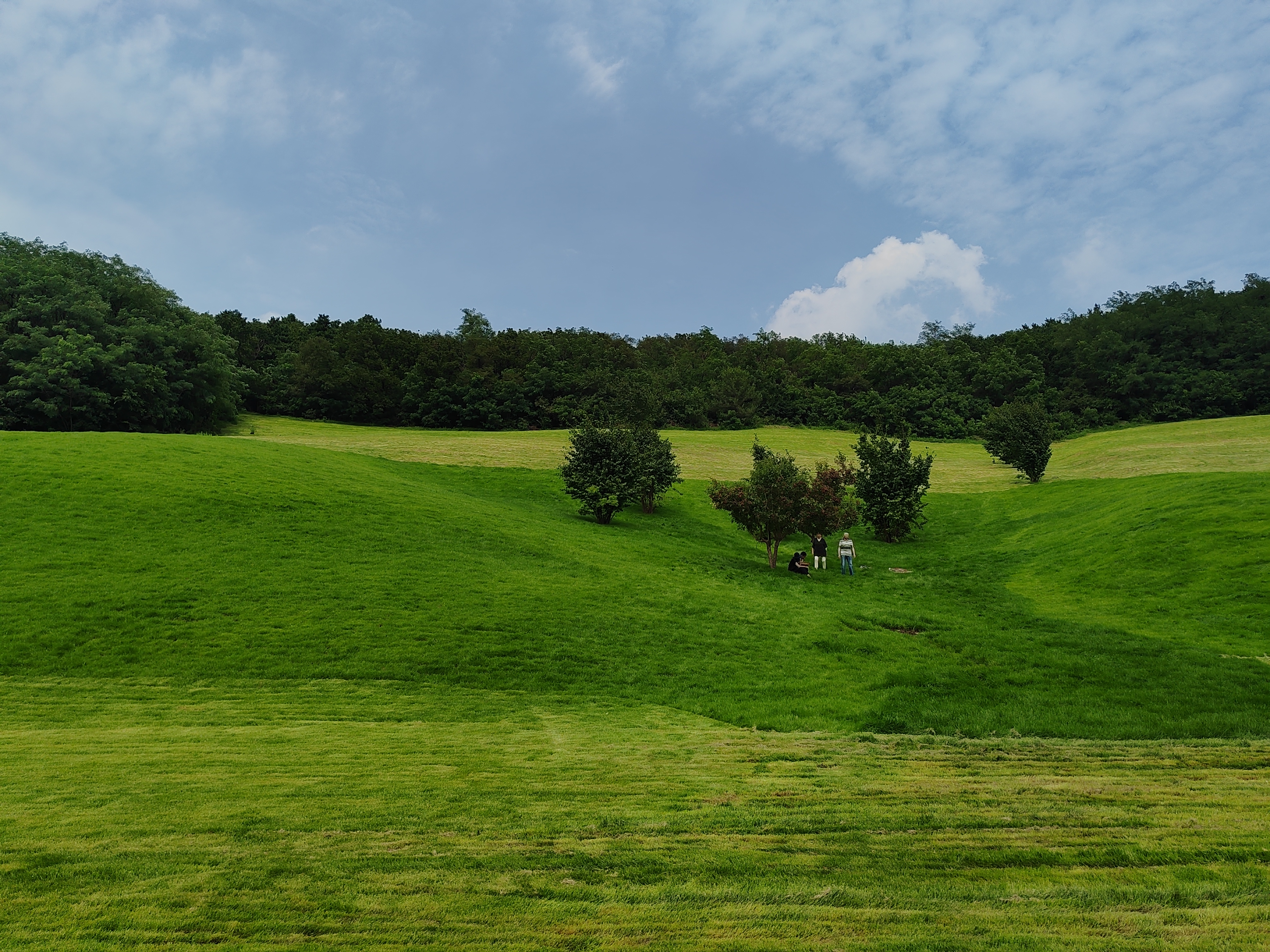 沈阳东北亚云端草原,策马奔腾于无垠绿海,小火车穿梭其间,悠然自得.