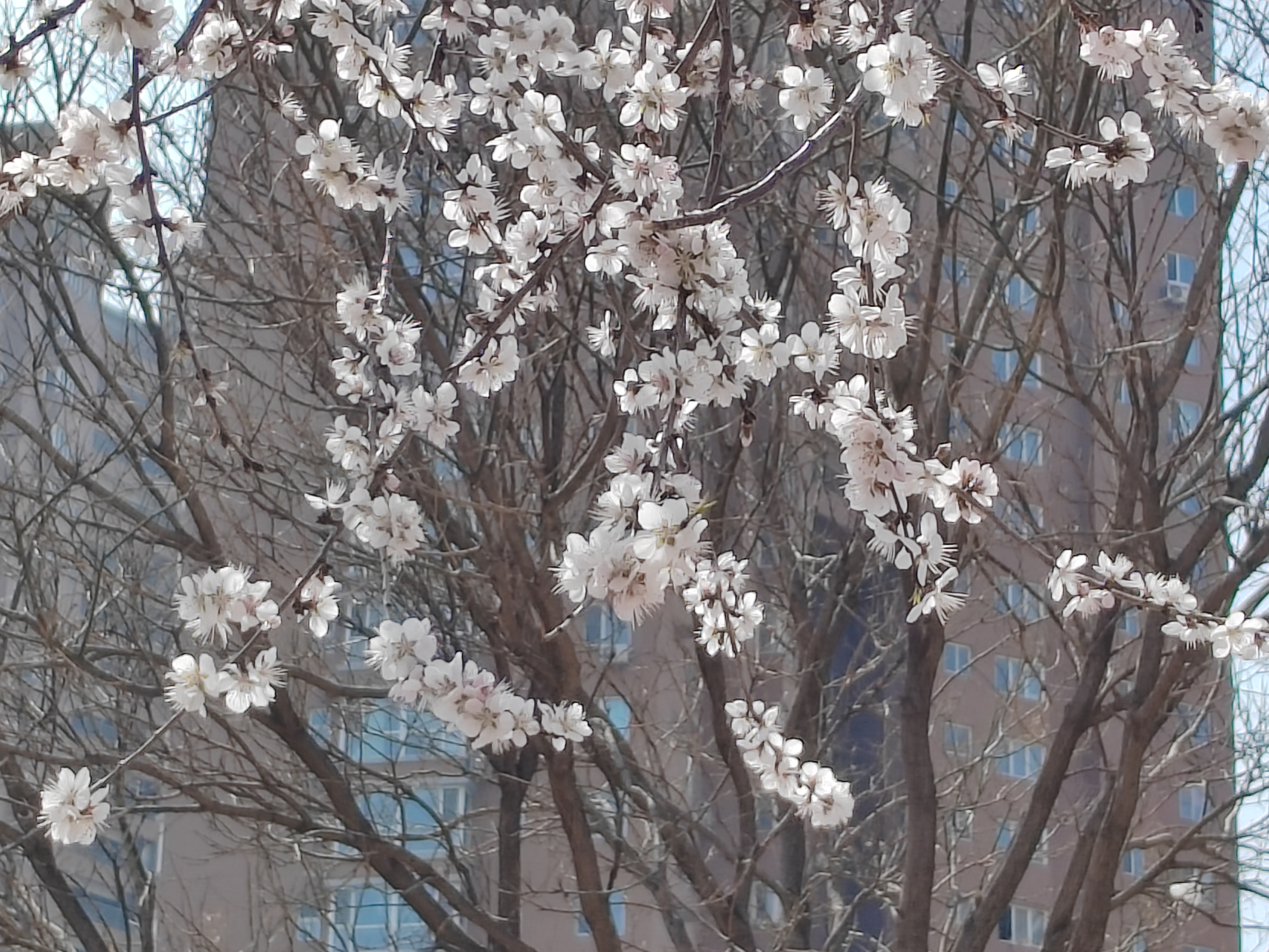 我推荐你来卫工明渠溜达溜达.