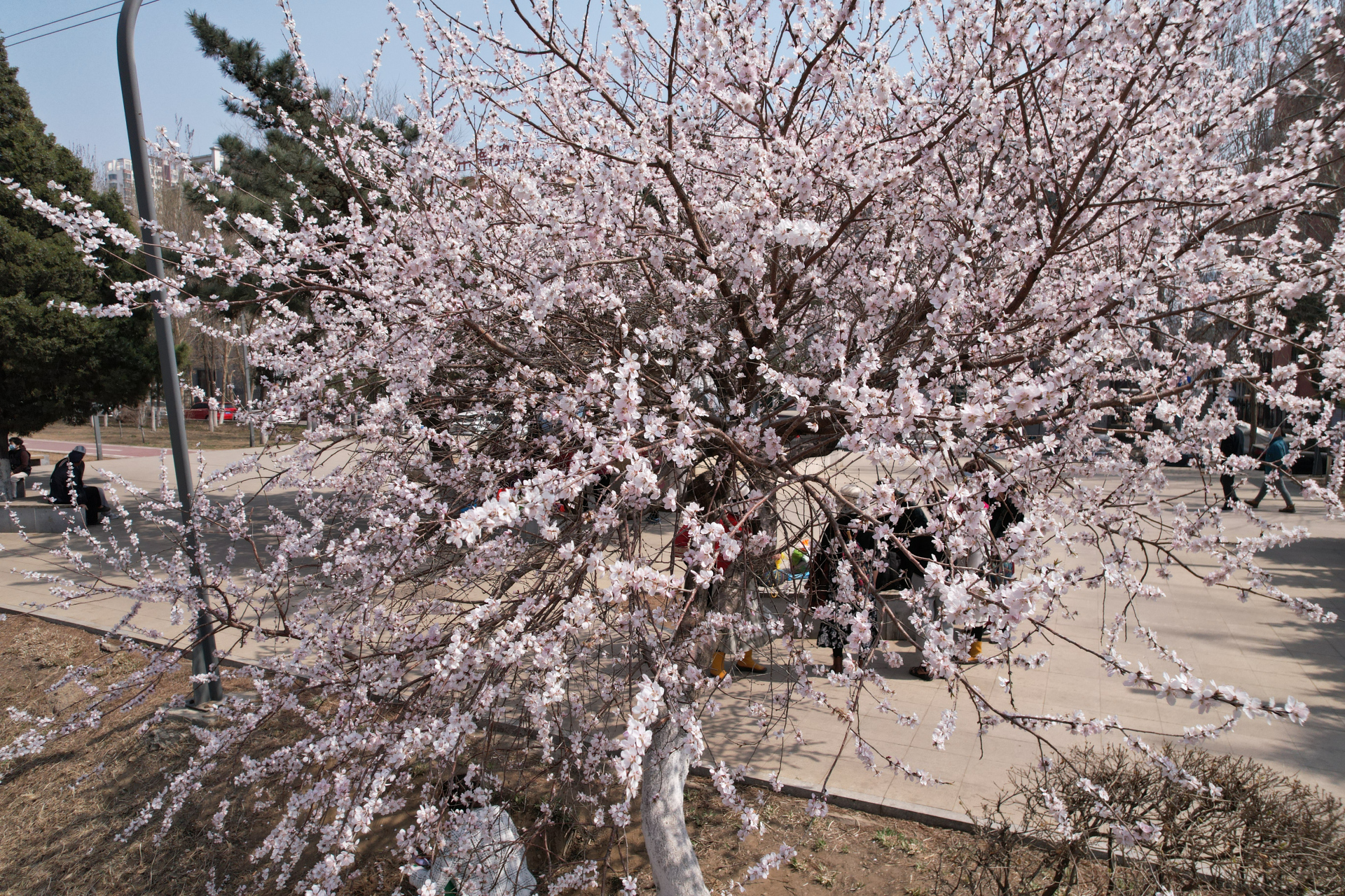 我推荐你来卫工明渠溜达溜达.