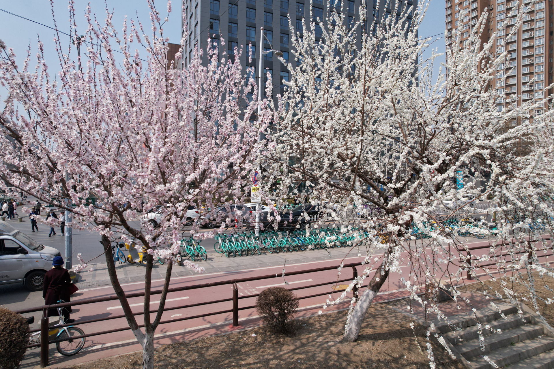 我推荐你来卫工明渠溜达溜达.