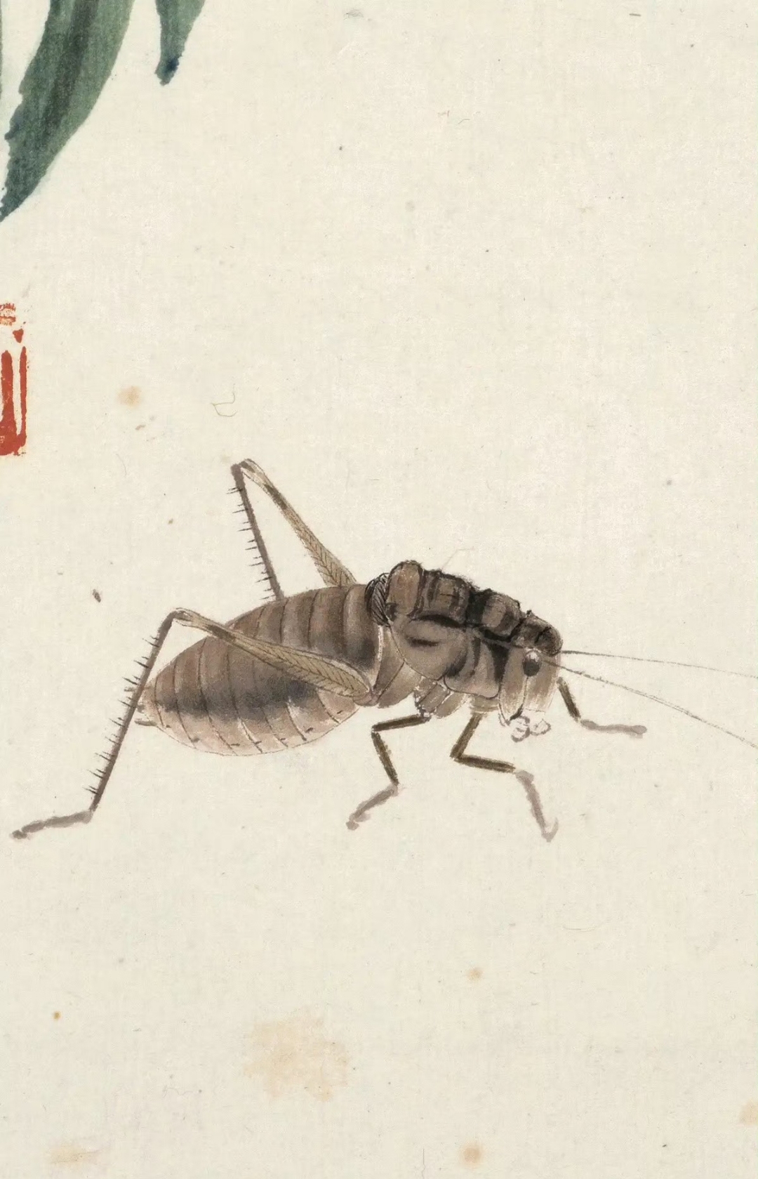 齐白石画的昆虫,放大了看好生动