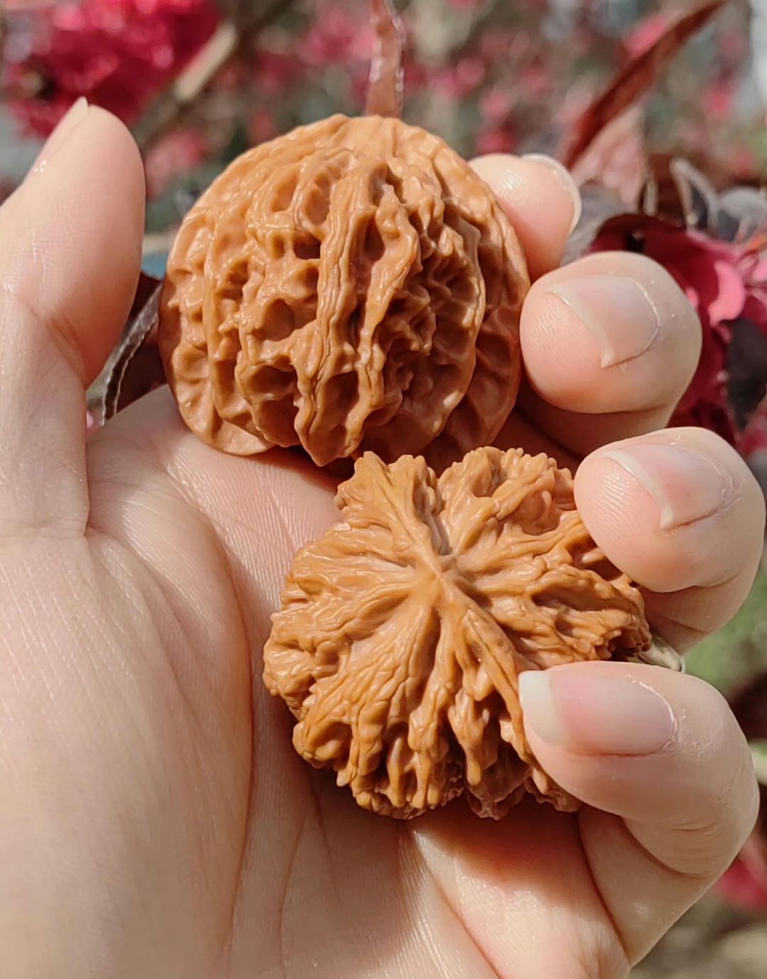 [裂开]真正的核桃盘了几年后的样子!