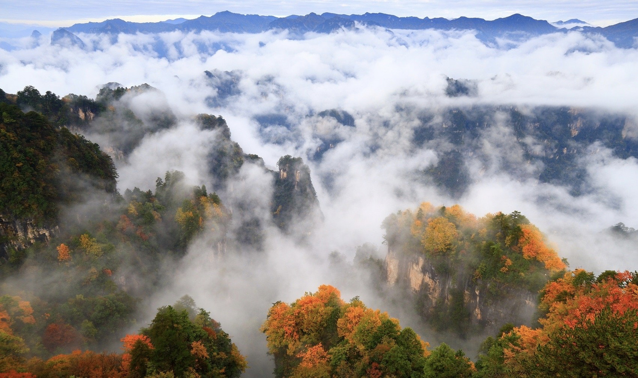光雾山风景区坐落于四川南江县北部,如今,它已进入了最佳观赏期.