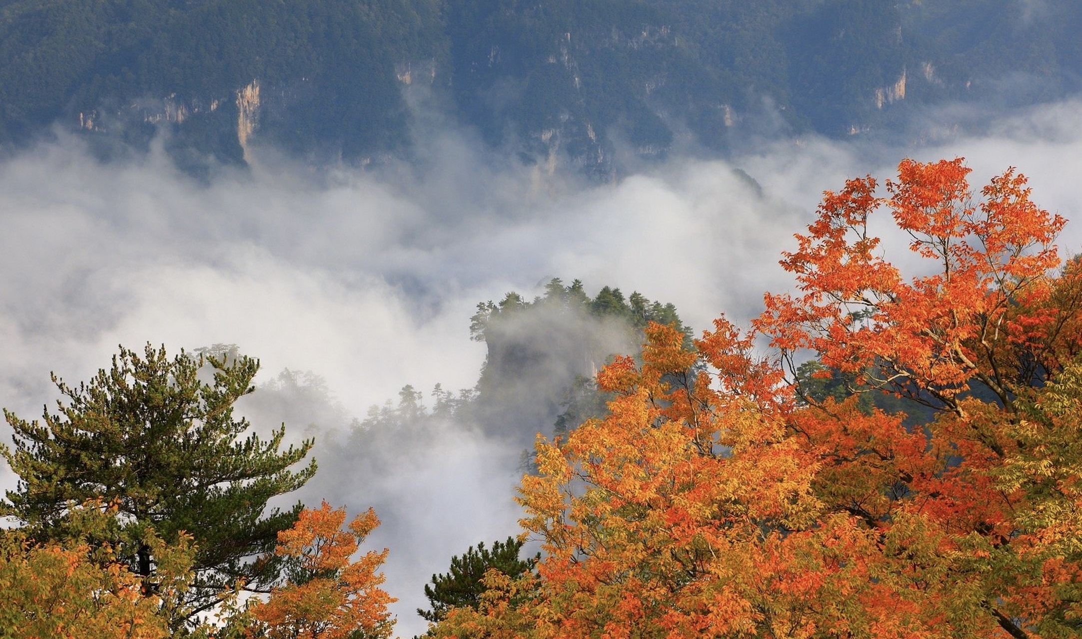 秋季是探访巴中光雾山的绝佳时机,这里将给您带来视觉和心灵的双重