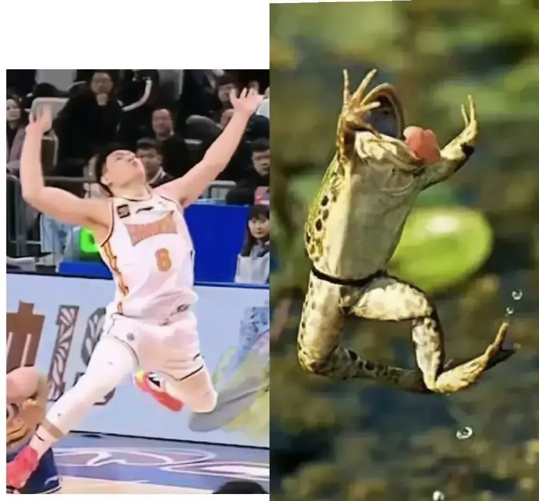 辽宁队主帅杨鸣以前讲过一句话现在有的球员投篮姿势千奇百怪,尤其像