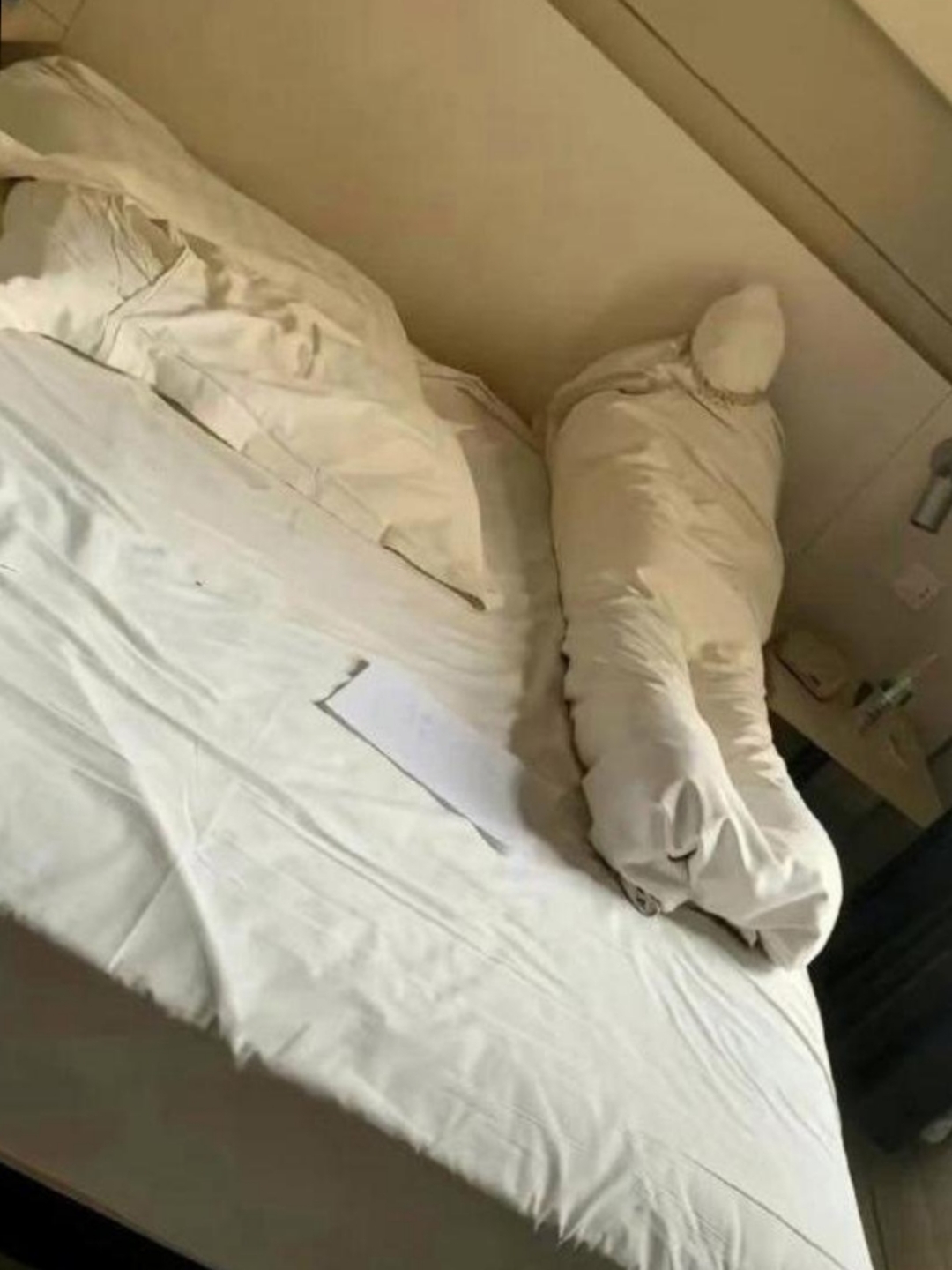 酒店里,一位客人退房离开了.可这一退,把打扫房间的阿姨吓得够呛!