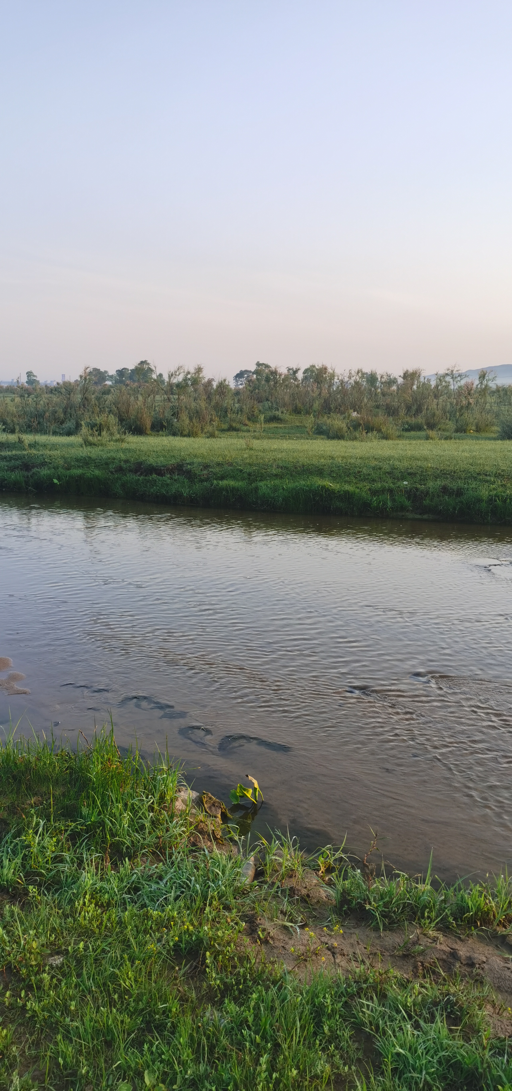 大同饮马河湿地公园图片