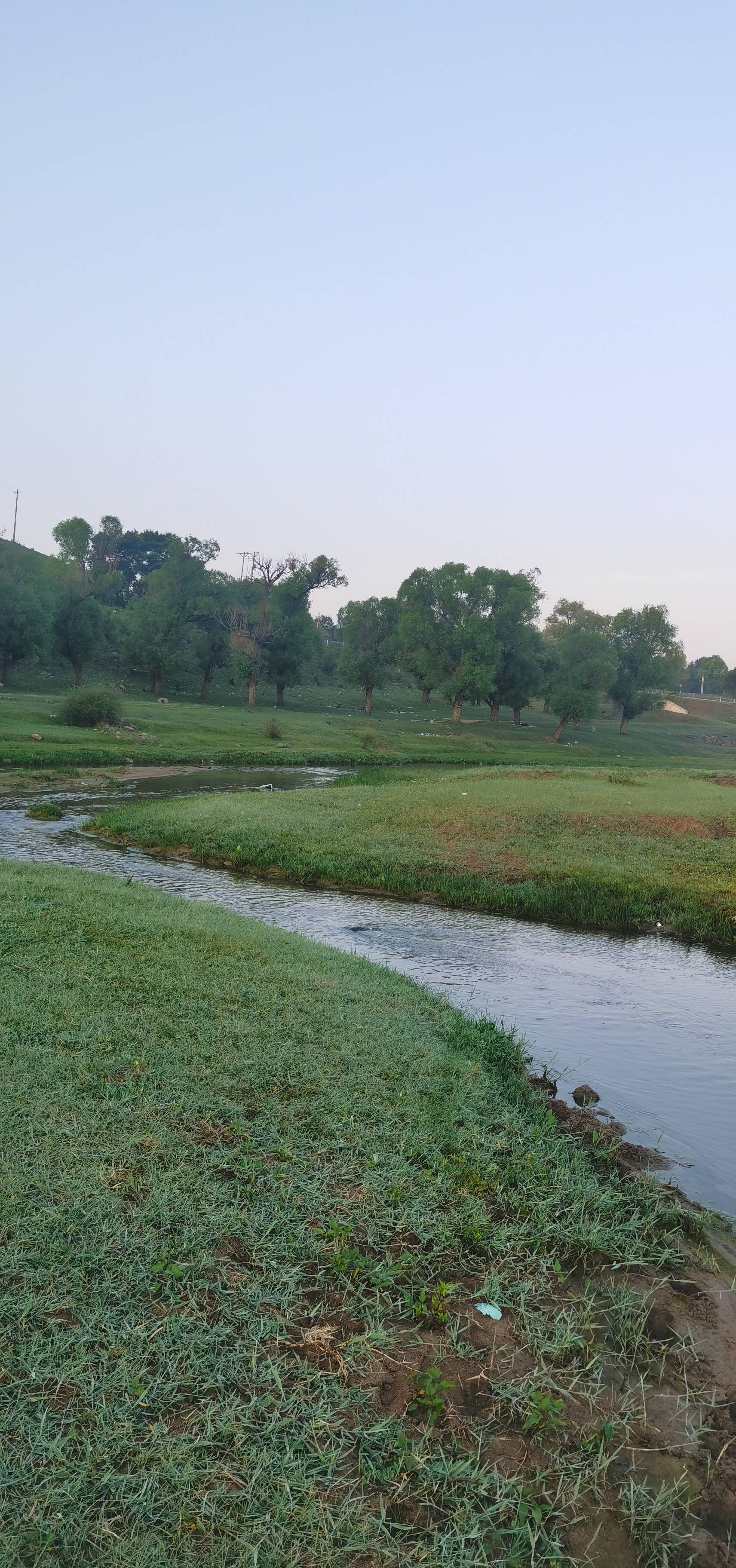 大同饮马河湿地公园图片