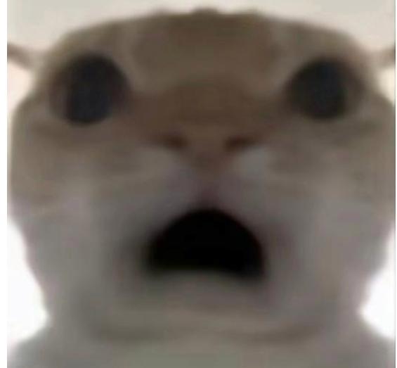 鼠鼠我呀,给你们看鼠鼠表情包!
