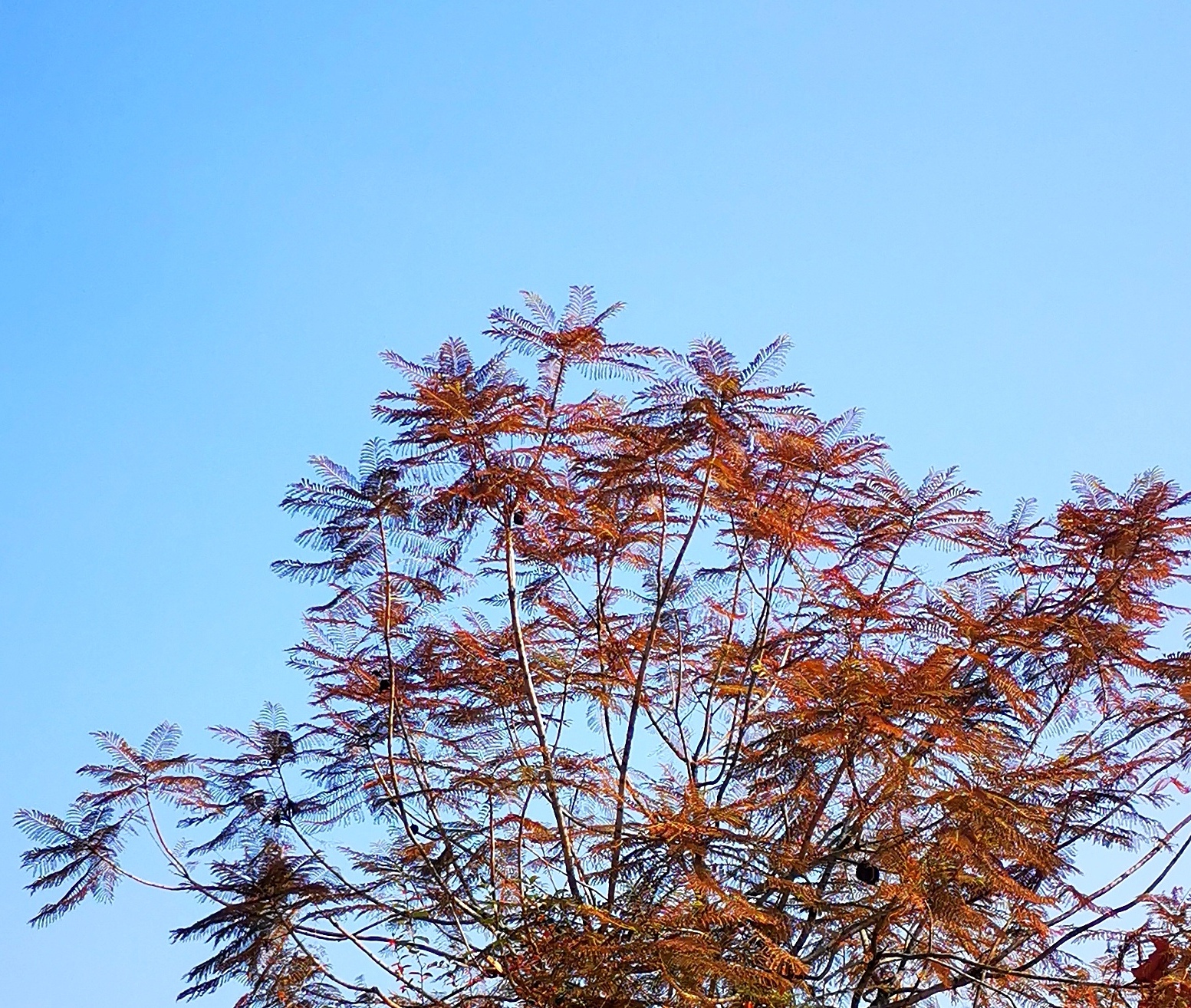 韶关始兴黄石坑景区,醉在山水间,秋游进行时!