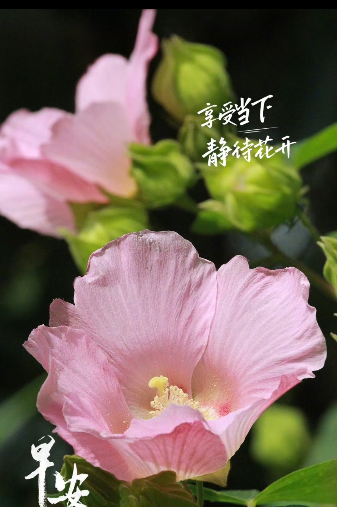 想做的事,现在就去做,不用过分担心结果,享受过