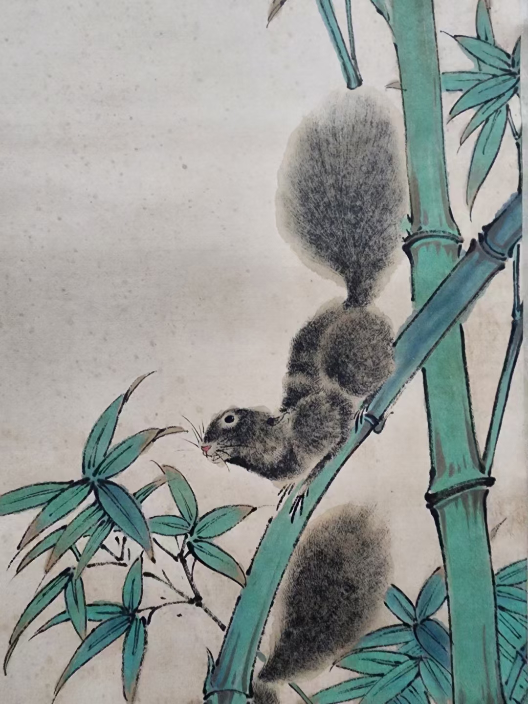 精品收藏 虚谷 松鼠图立轴 . 画心尺寸:84.5*39.5cm. #水墨画# #国画
