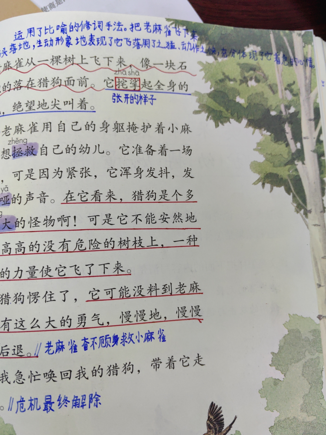 四年级十六课《麻雀》笔记