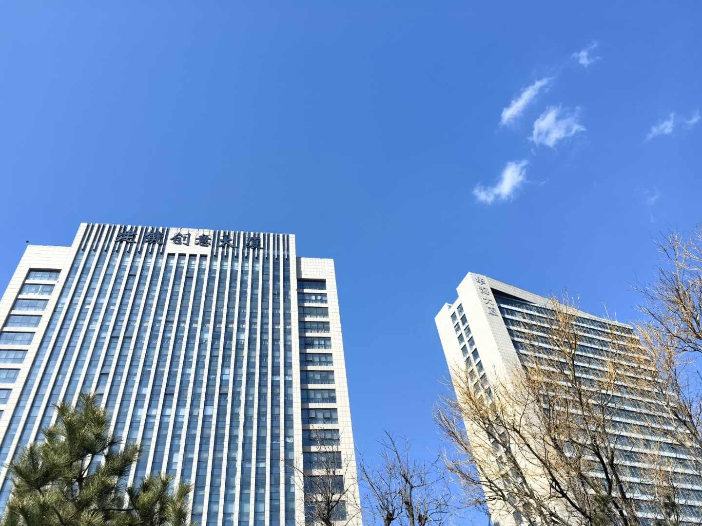 坐标潍坊.今天天气晴朗,就是有风