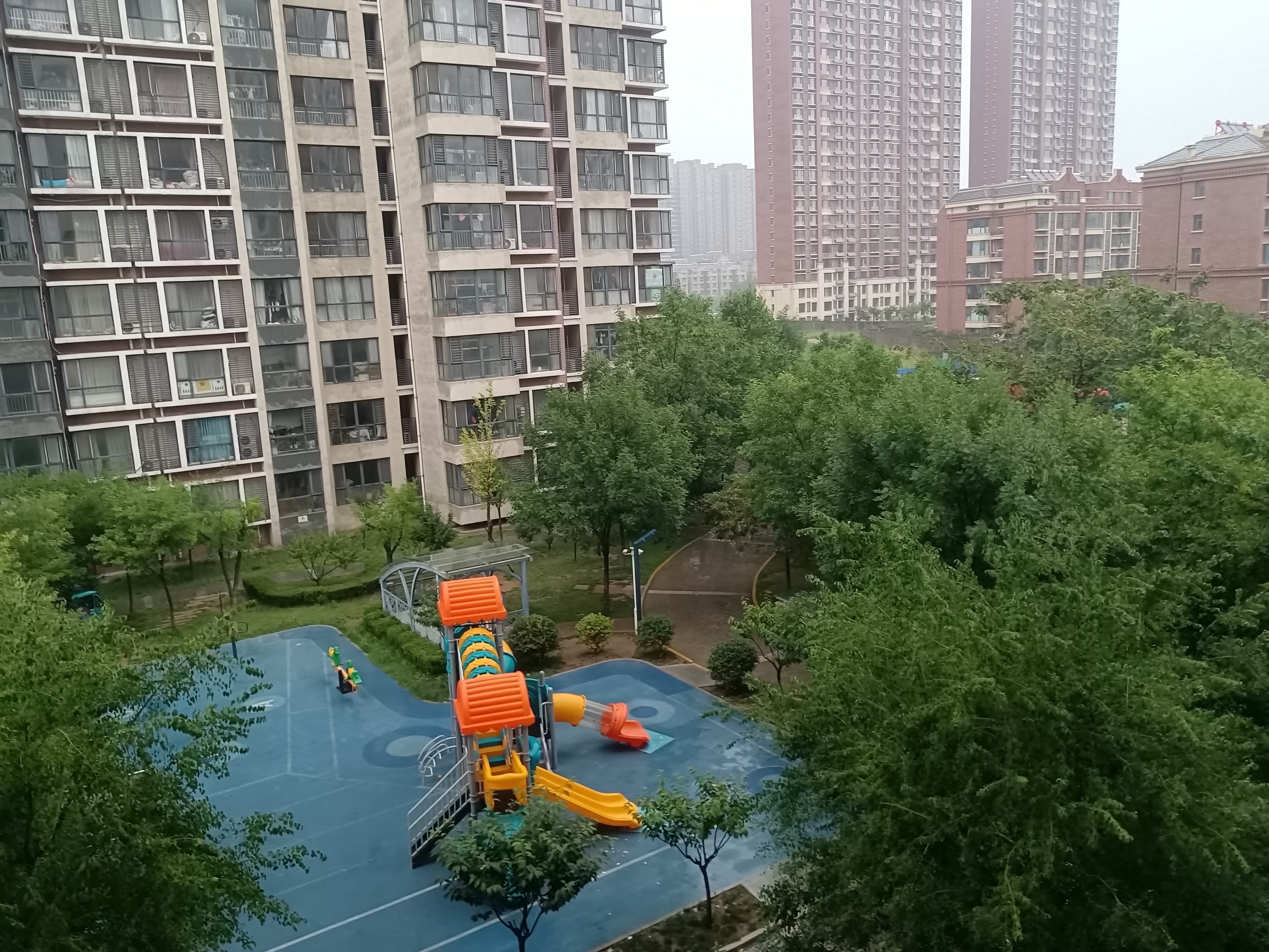 坐标潍坊.入伏后的第二天,迎来了一场降雨