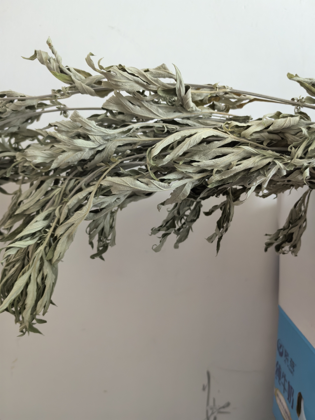 潮湿闷热的季节还可以多