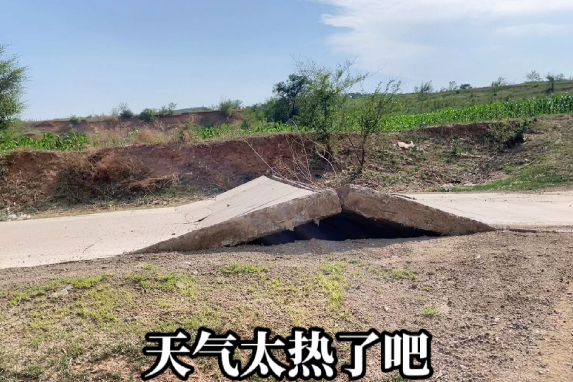 承德出现40度以上高温天气#天气太热了