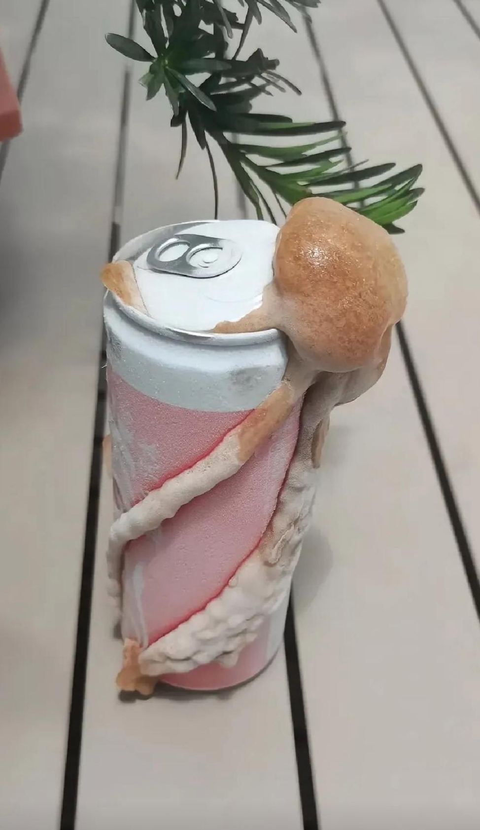 晚上渴了打开冰箱差点心脏病都犯了,我以为什么怪物呢,结果是饮料冻炸