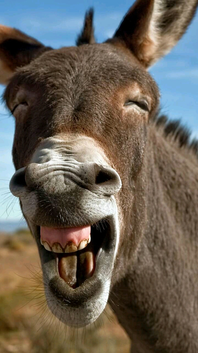 为了弄懂歌词,我再读,精读,探究.