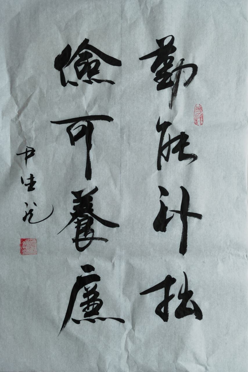 勤能补拙,俭可养廉 为善最乐,读书便佳