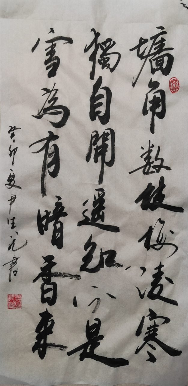 墙角数枝梅,凌寒独自开. 遥知不是雪,为有暗香来.